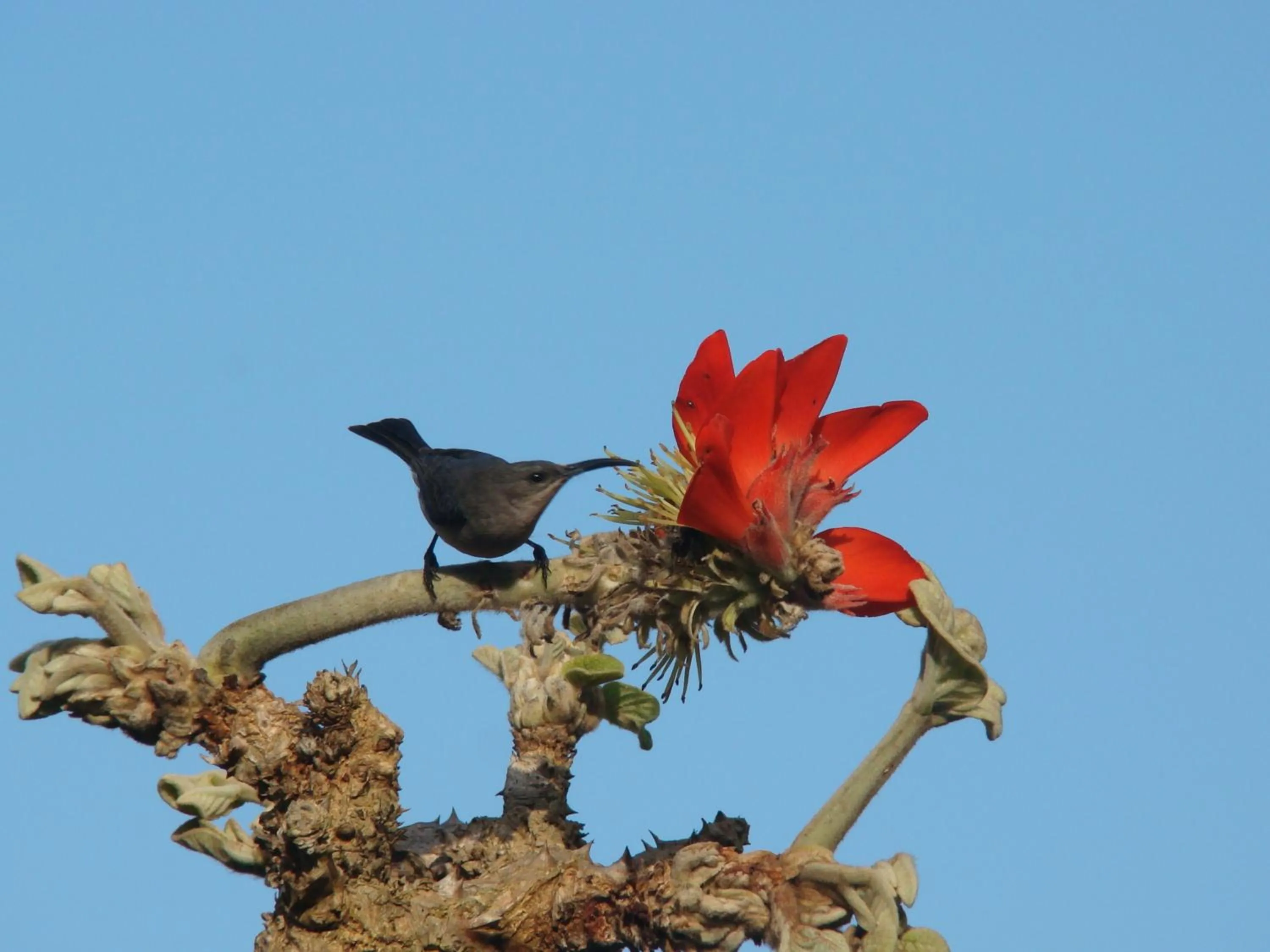 Garden in Leopard Corner Lodge