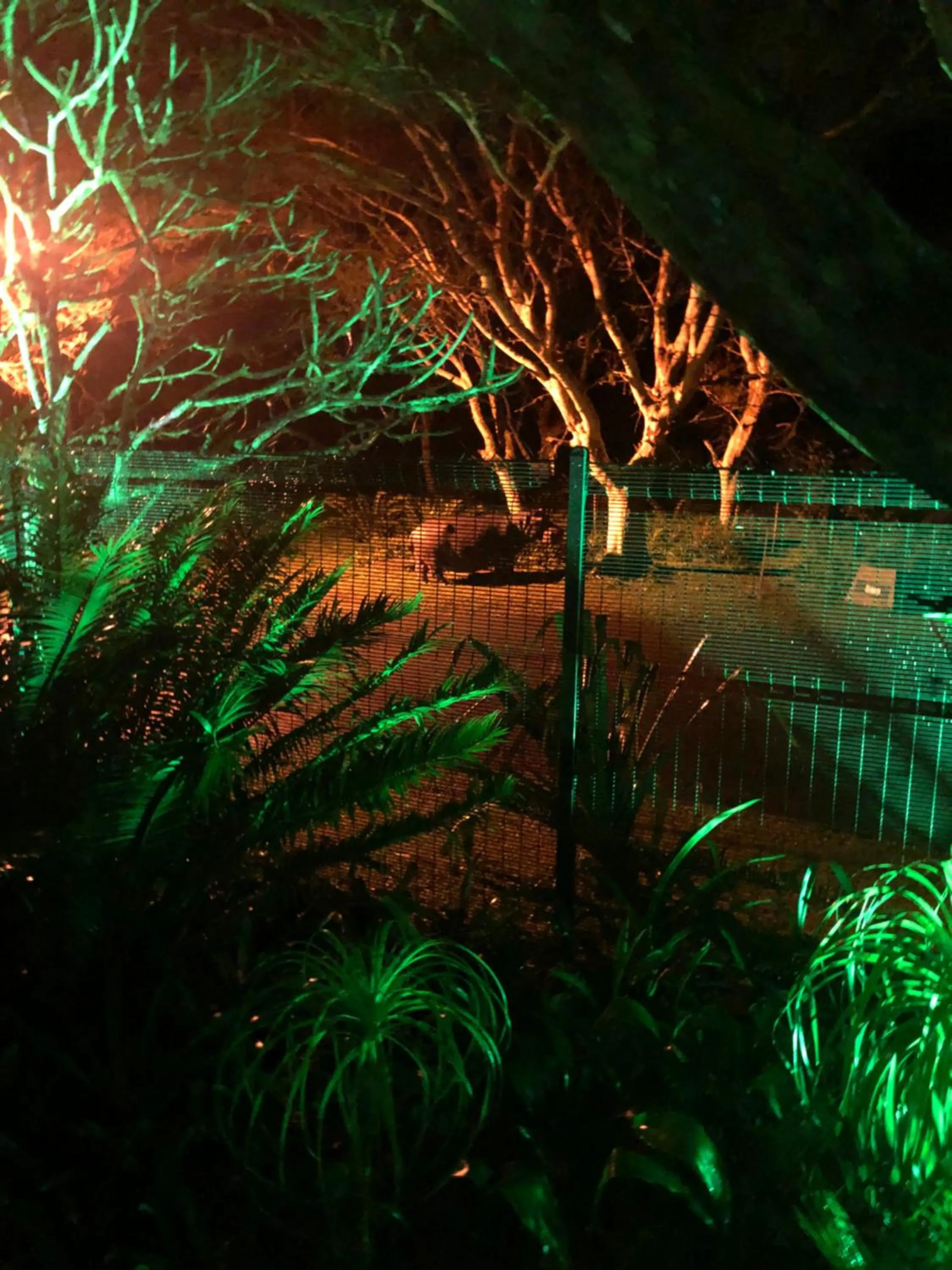 Garden in Leopard Corner Lodge