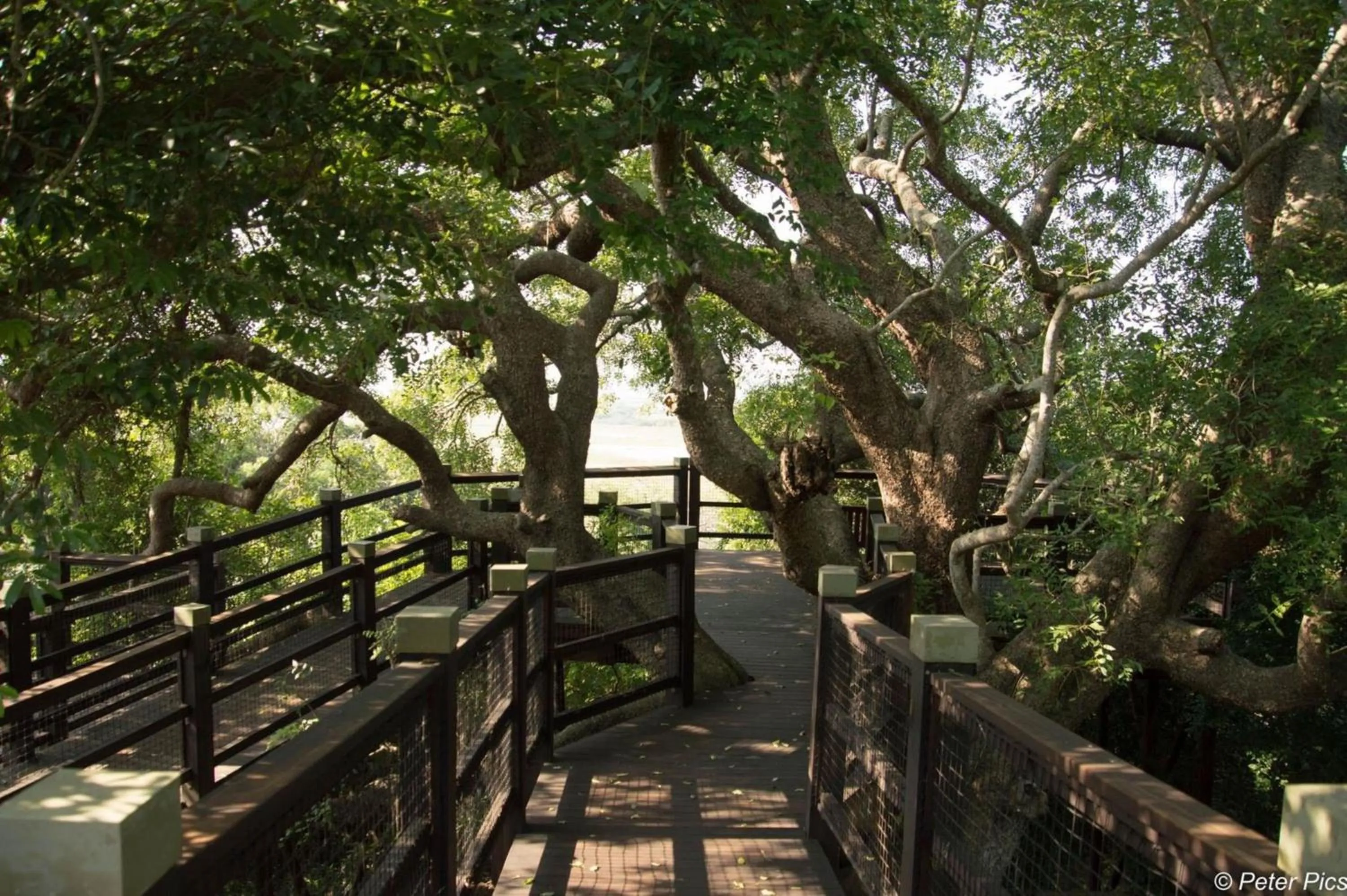 Activities in Leopard Corner Lodge