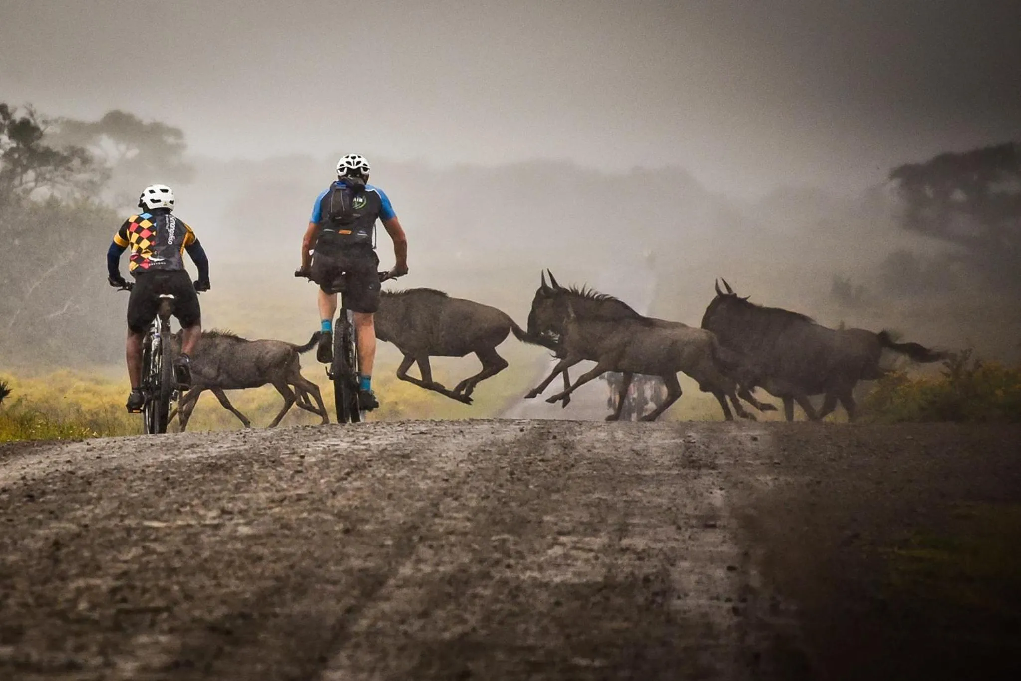 Cycling in Leopard Corner Lodge
