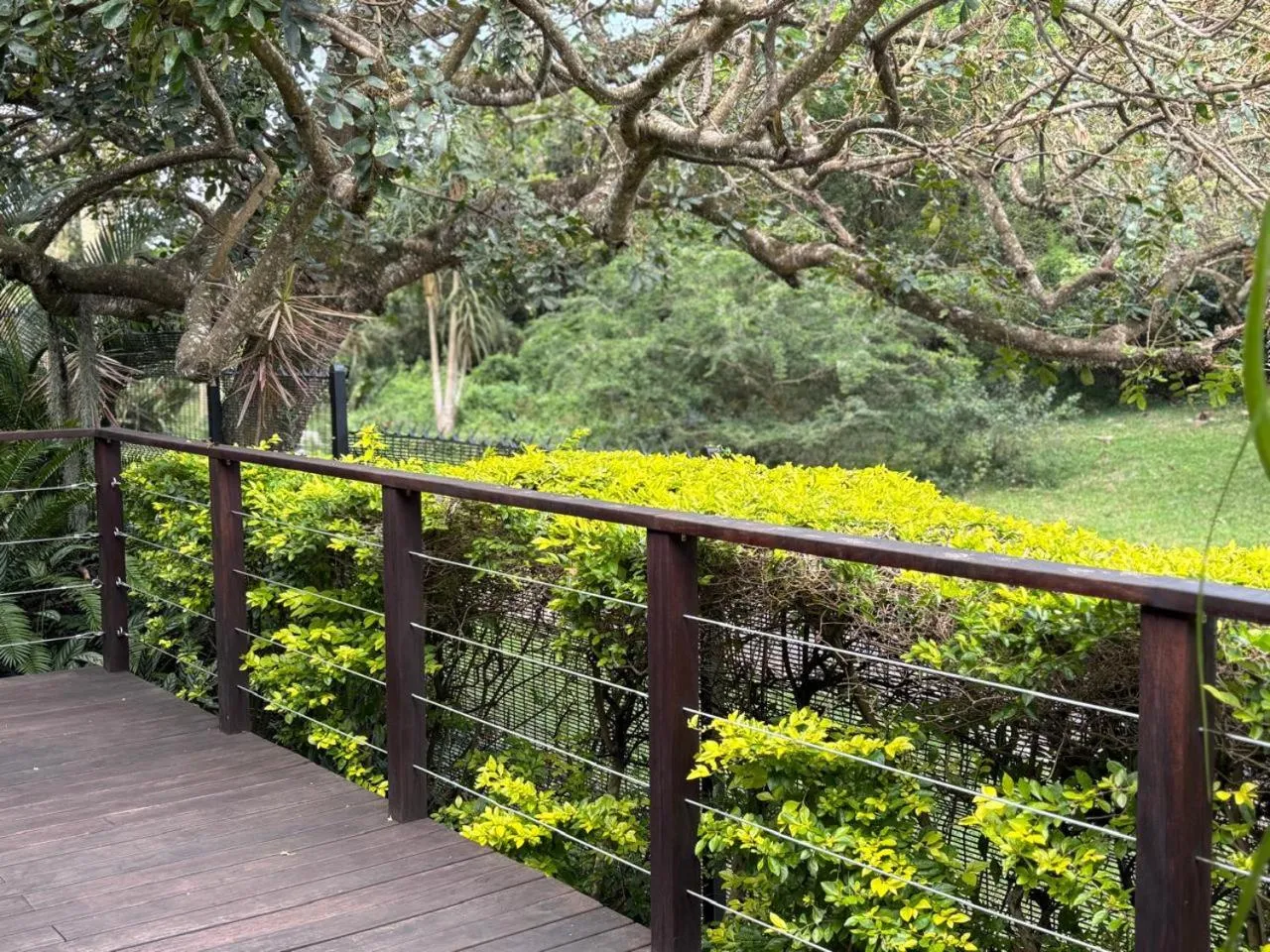 View (from property/room) in Leopard Corner Lodge