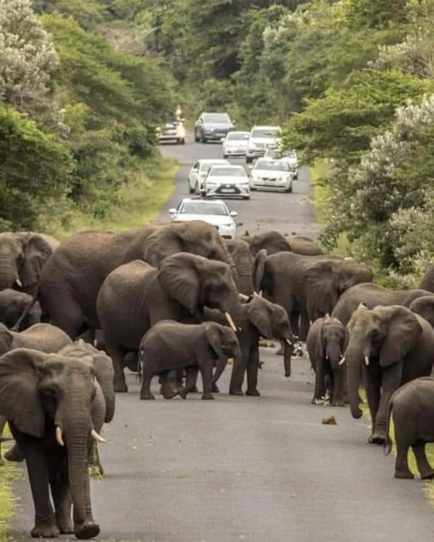 Day in Leopard Corner Lodge