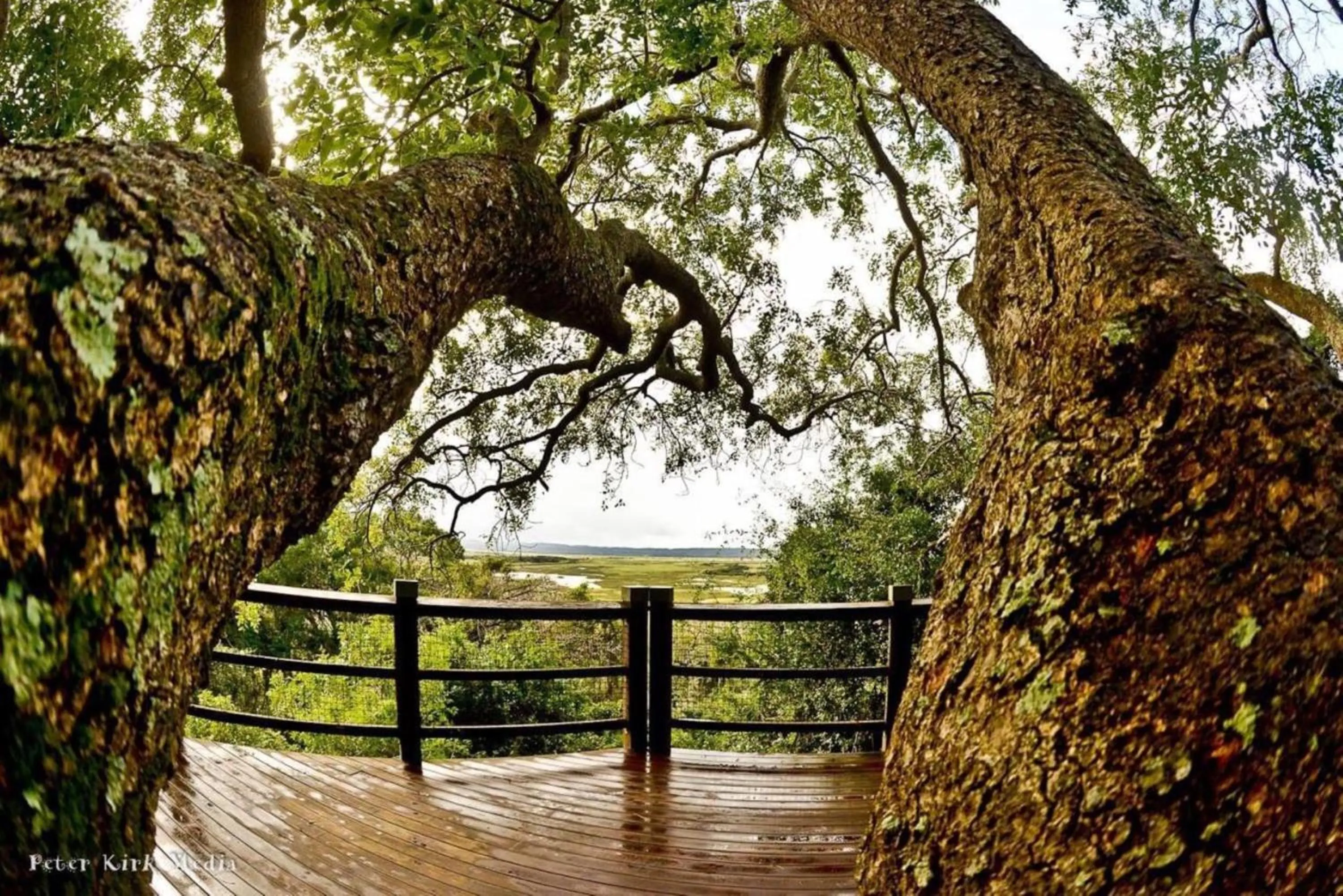 Activities in Leopard Corner Lodge