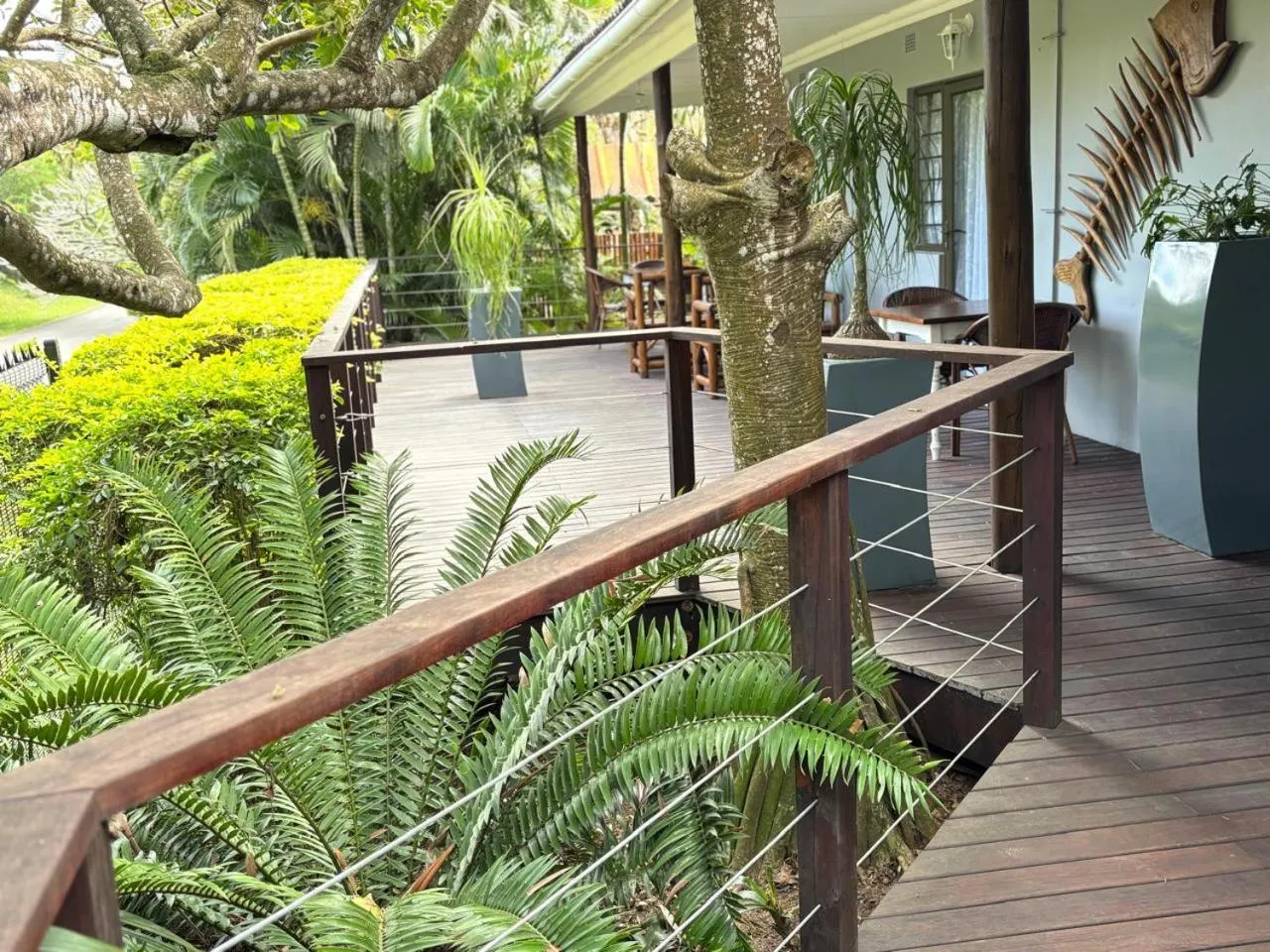 Balcony/Terrace in Leopard Corner Lodge