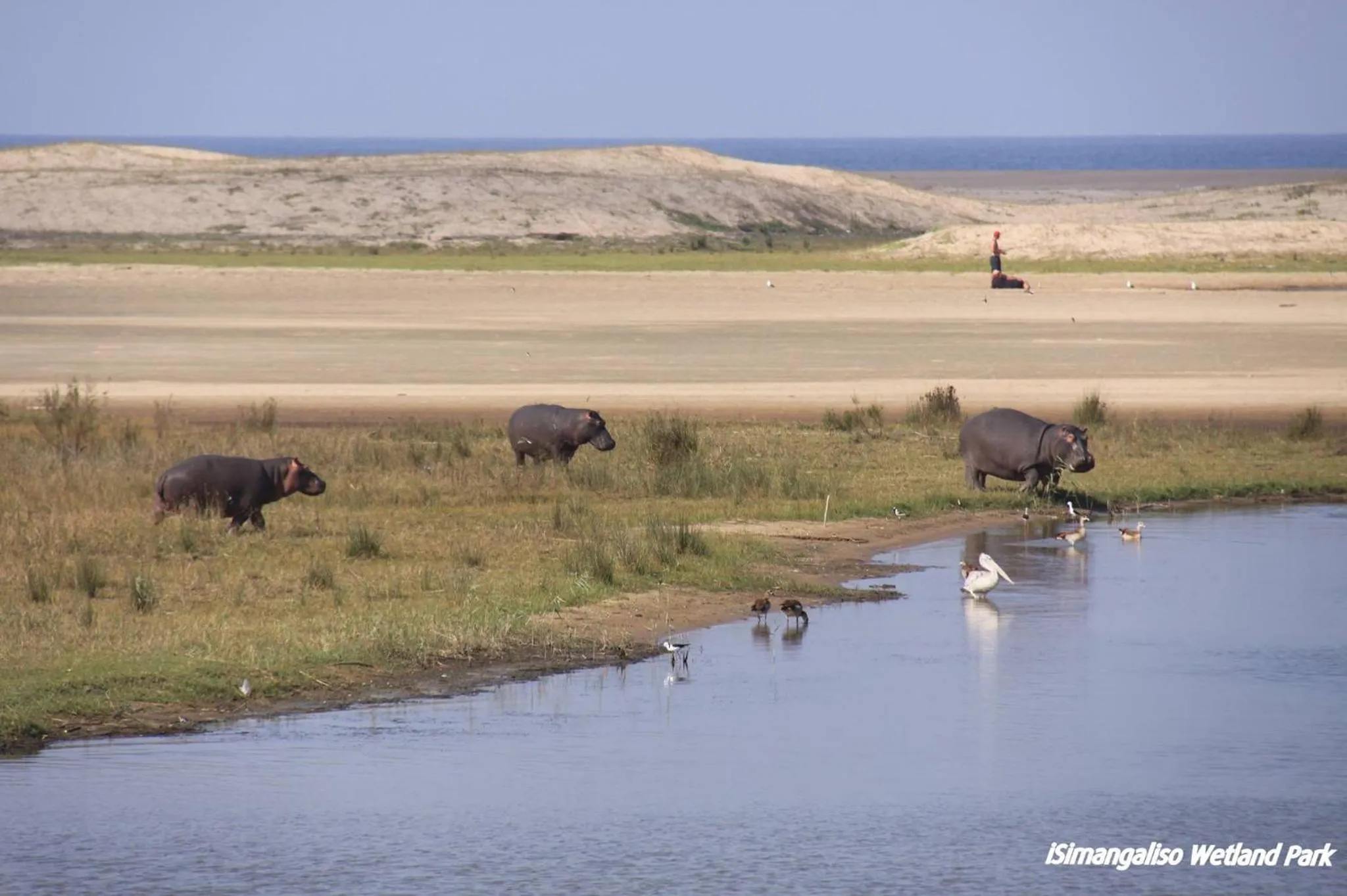 Beach in Leopard Corner Lodge