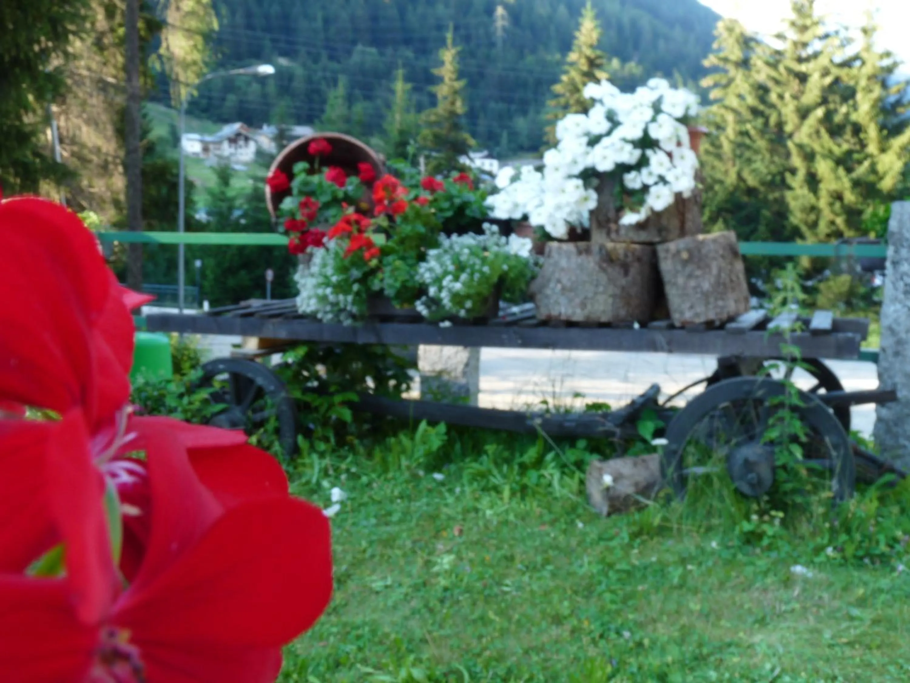 Decorative detail in Baita Velon