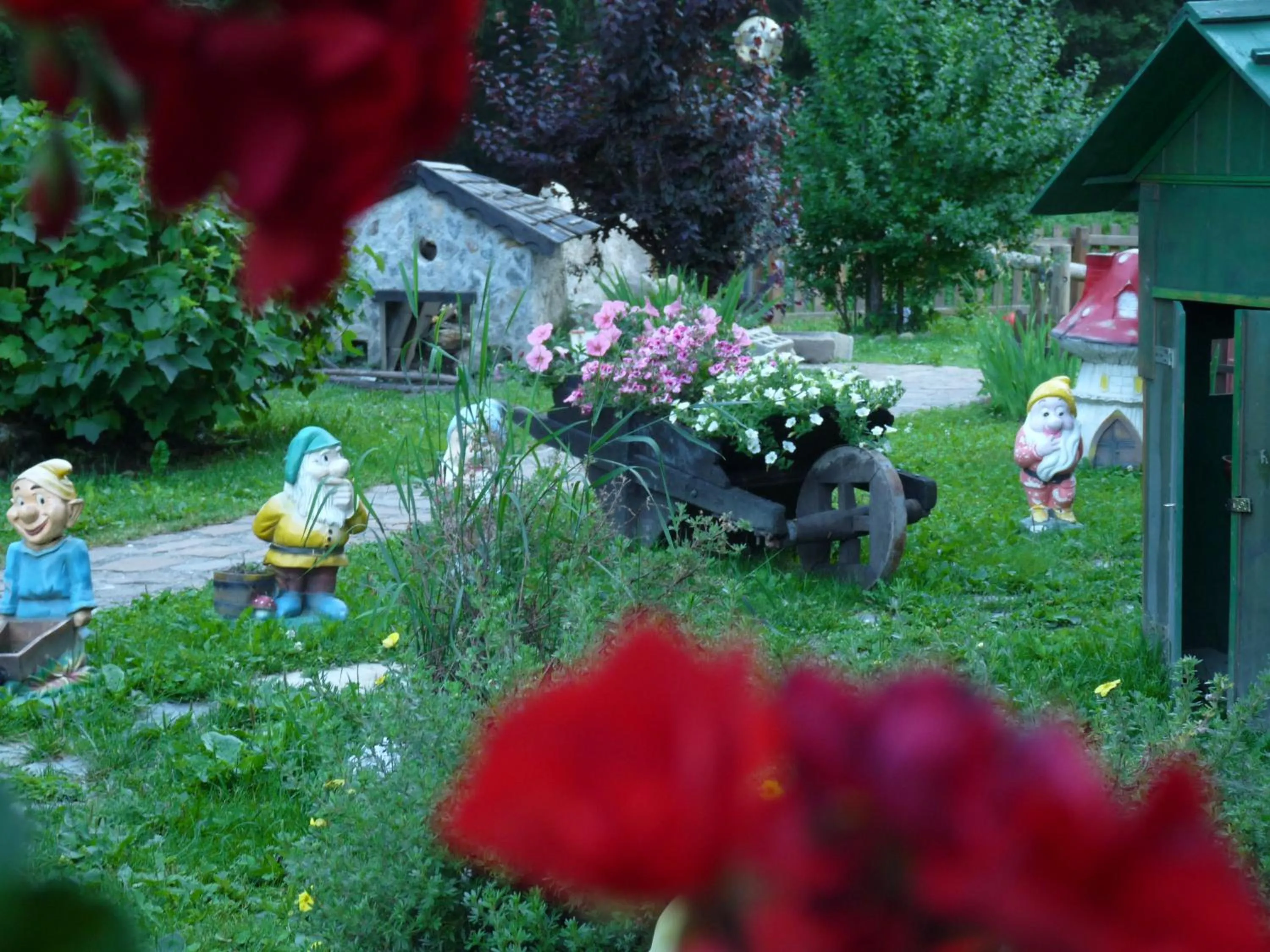 Garden in Baita Velon