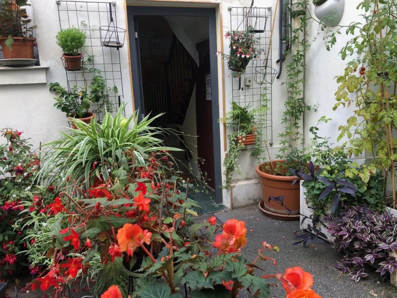 Garden view in Hôtel Résidence Champerret