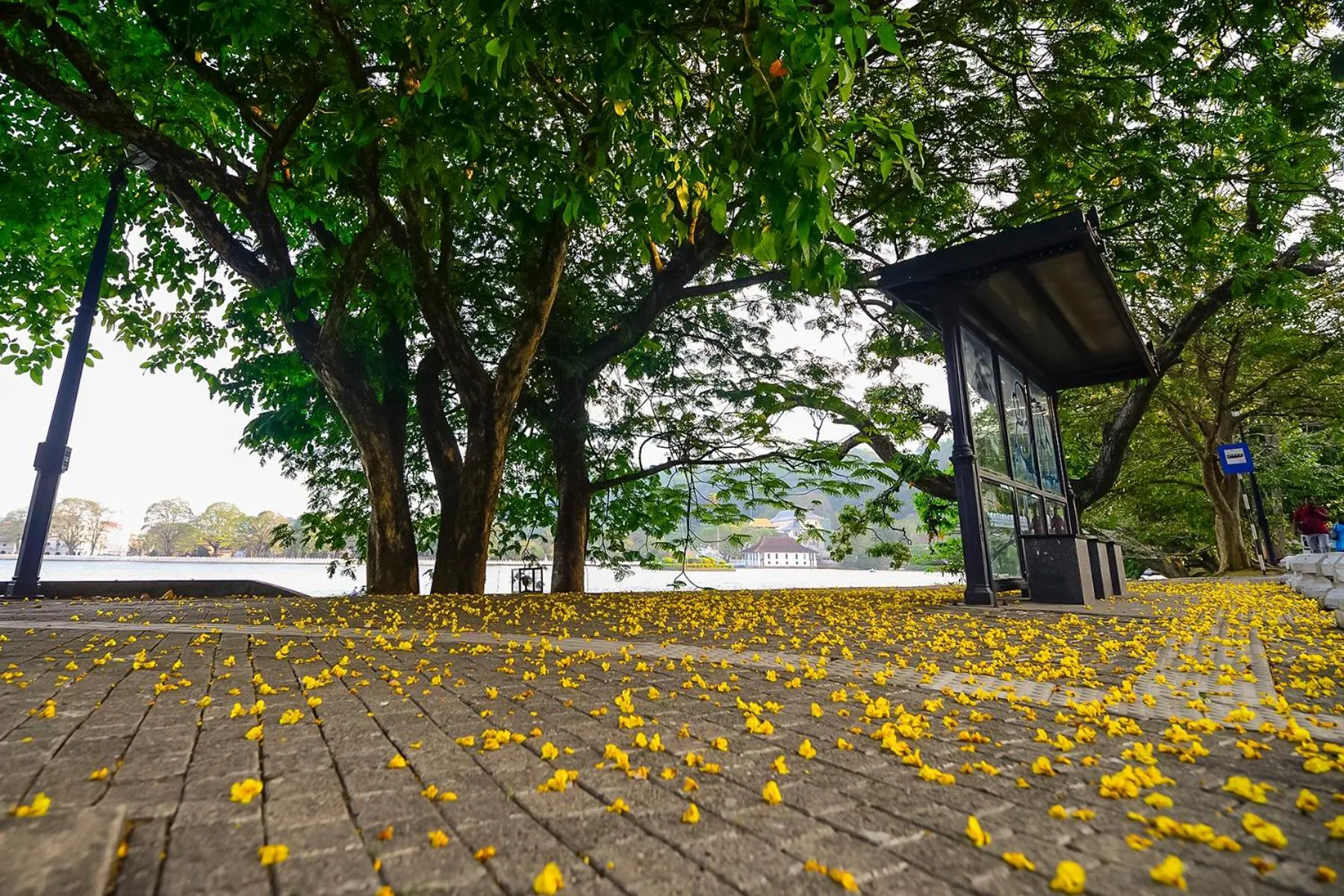 Natural landscape in Devon Rest