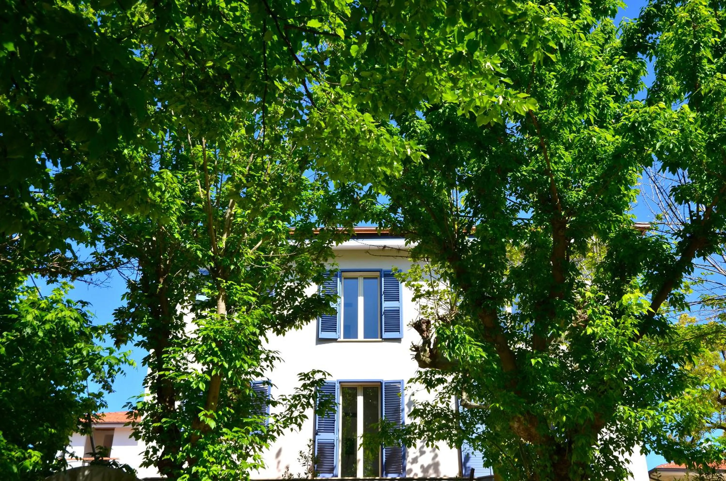 Facade/entrance in Petit Hotel