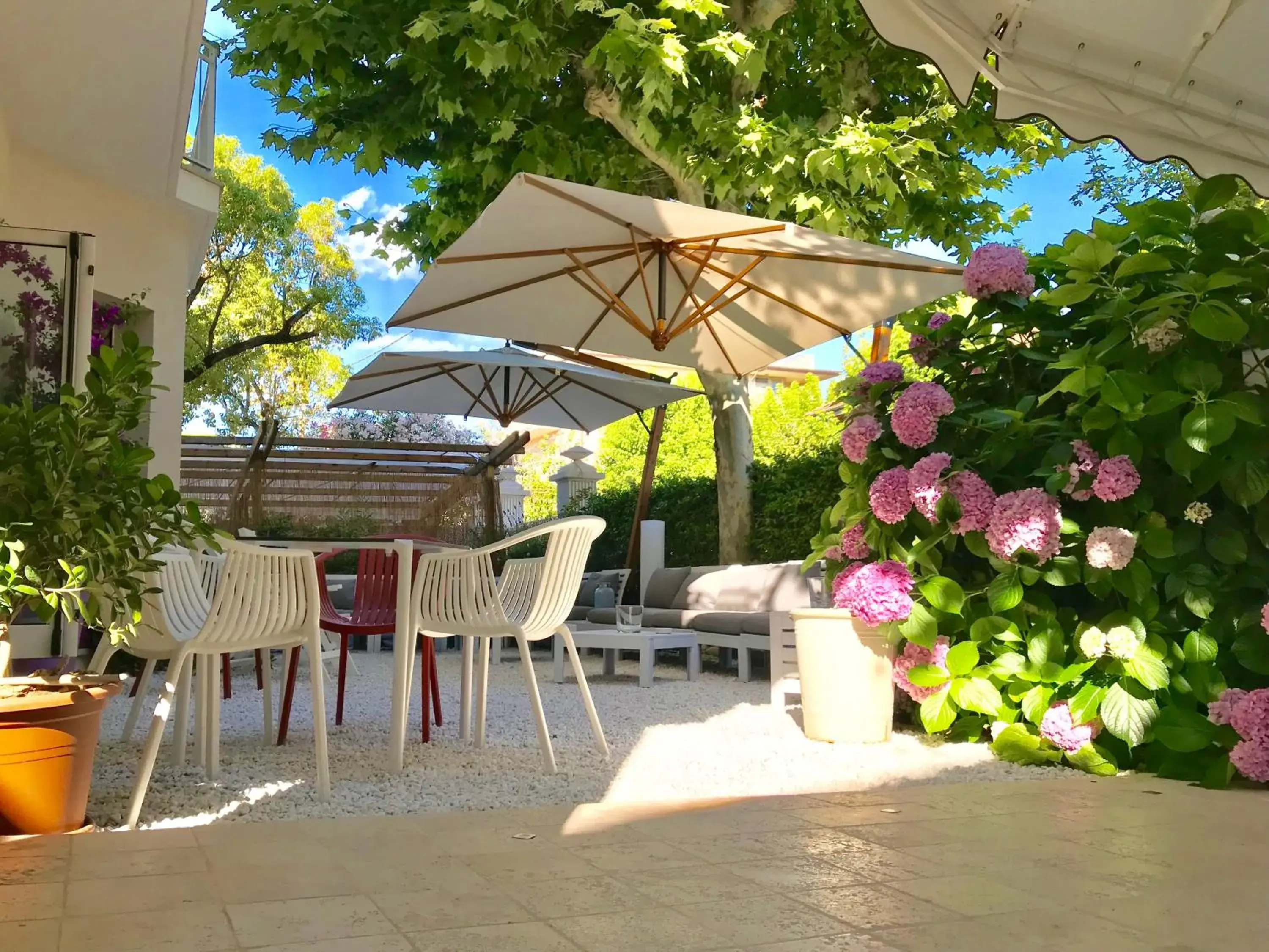Petit Hotel Petit Hotel