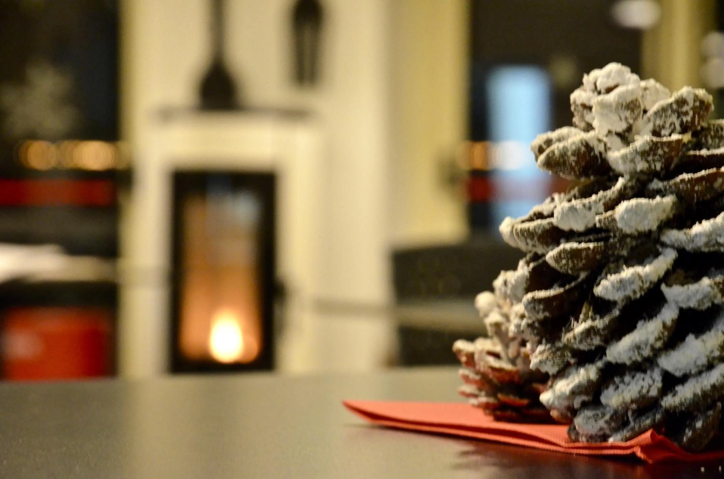 Winter in Petit Hotel