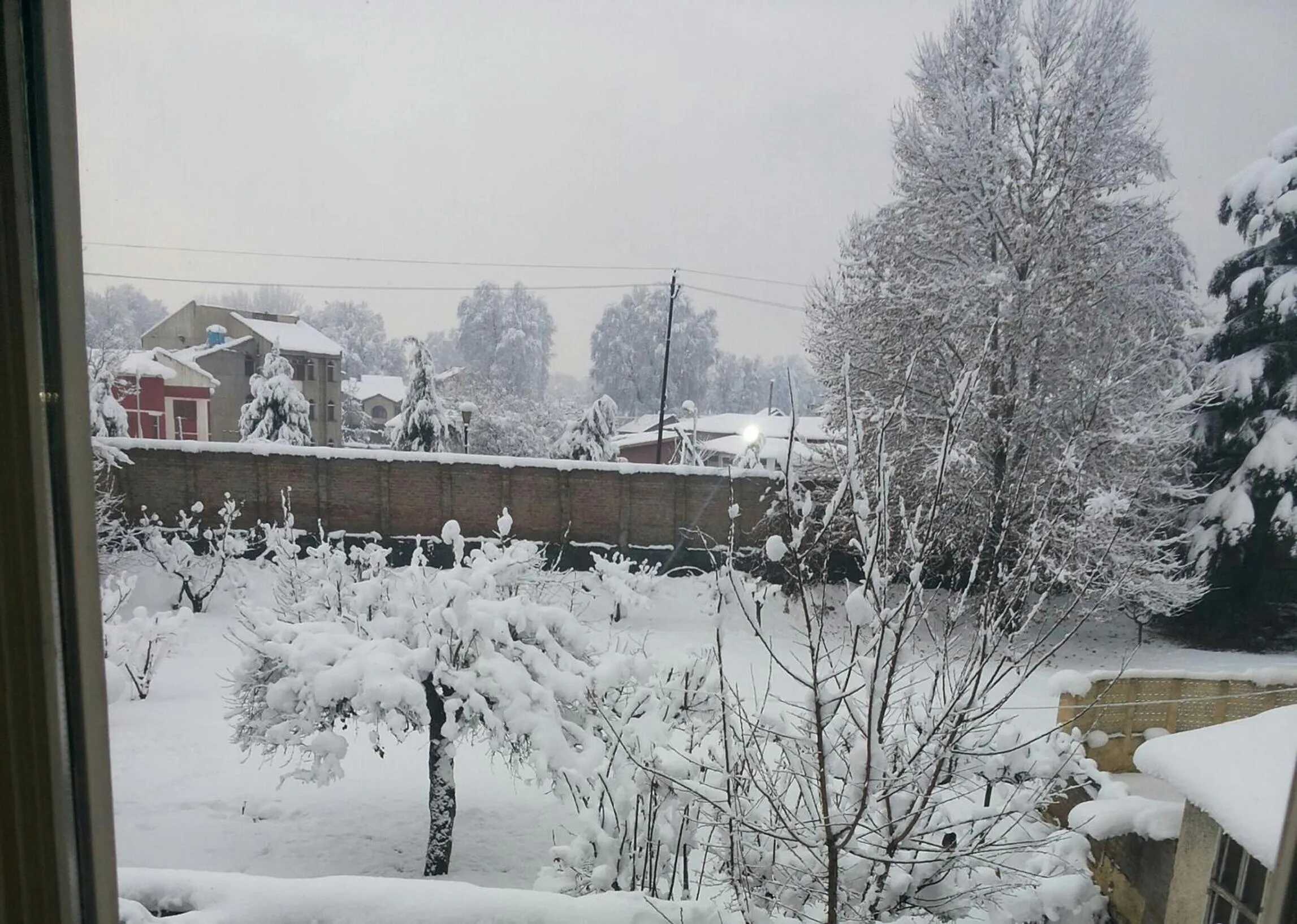 Garden in The GoodFind Residency