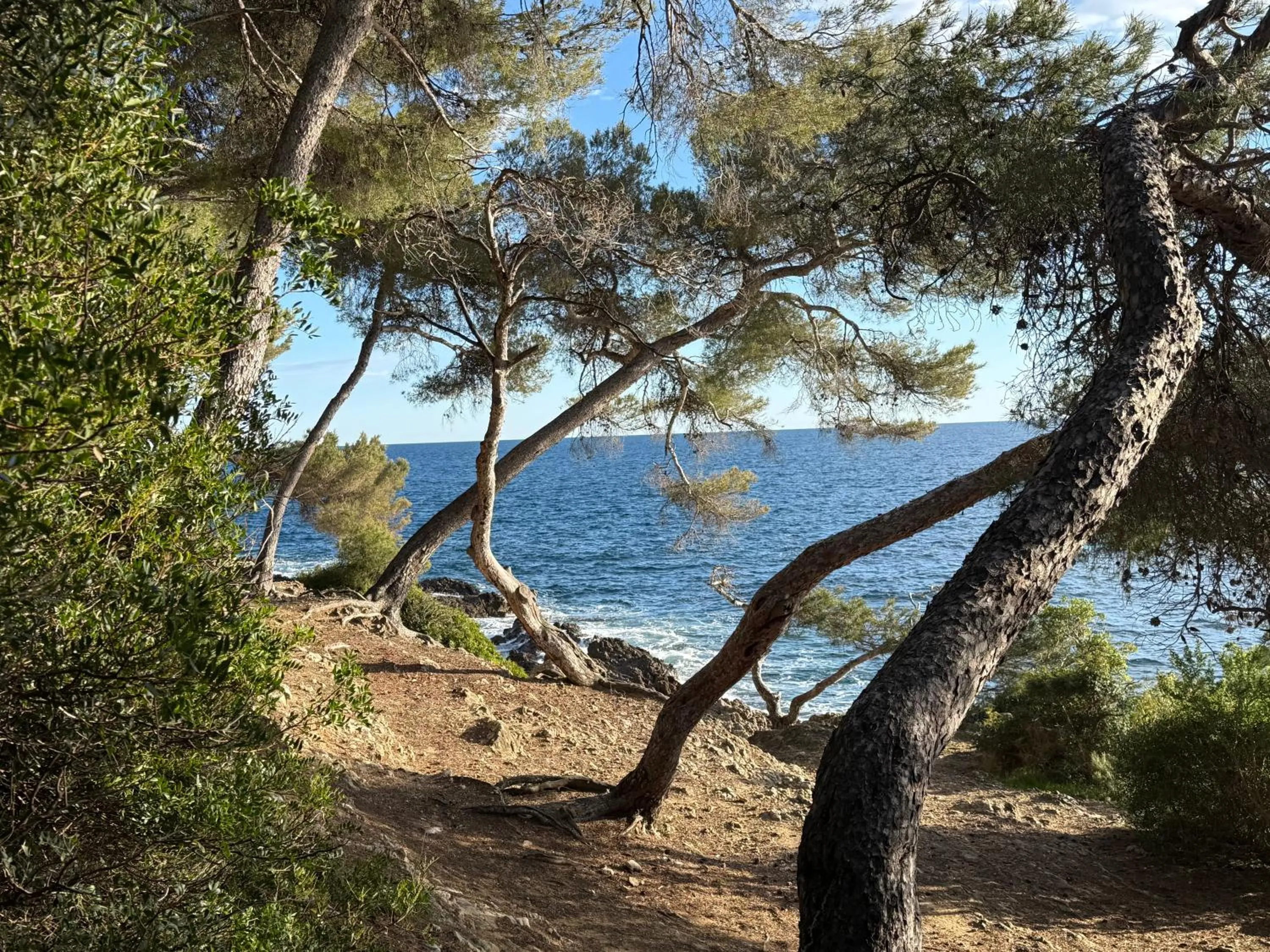 Saint Jean Cap Ferrat grand Studio avec terrasse