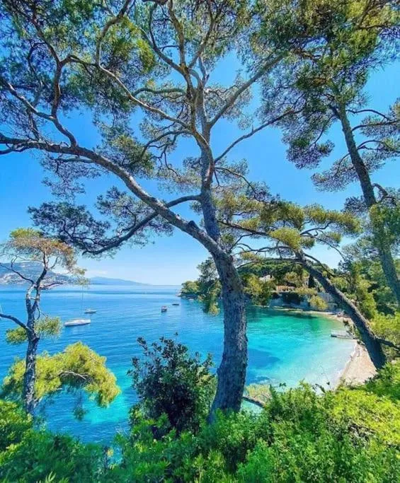 Saint Jean Cap Ferrat grand Studio avec terrasse