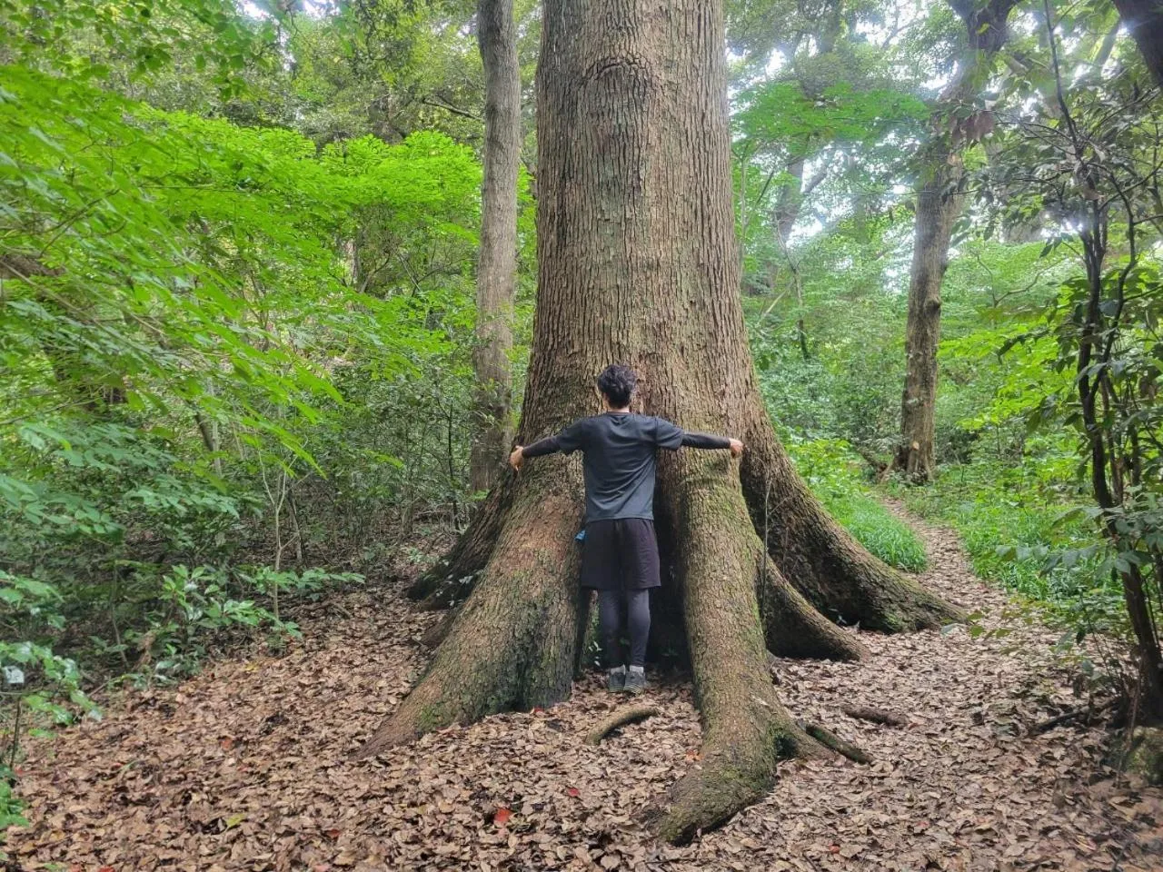 COUSCOUS Glamping Manazuru