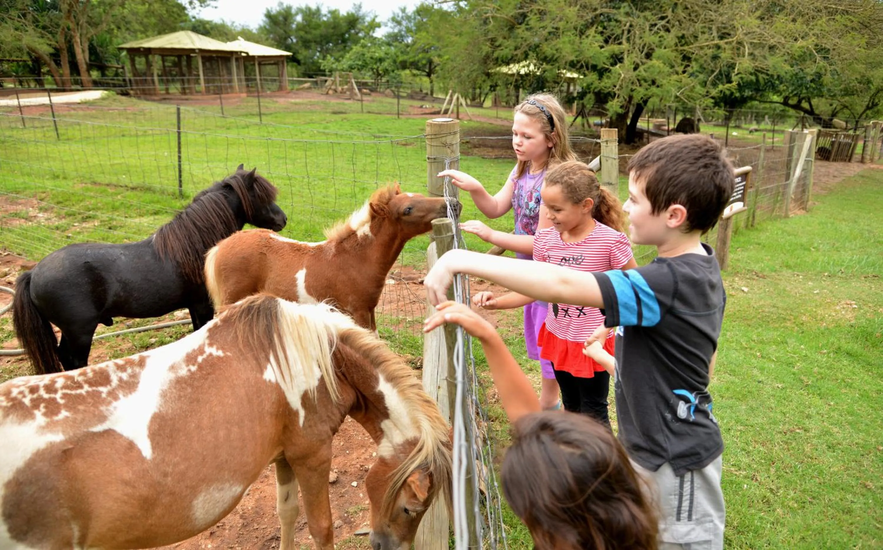 Children play ground in eBundu Lodge