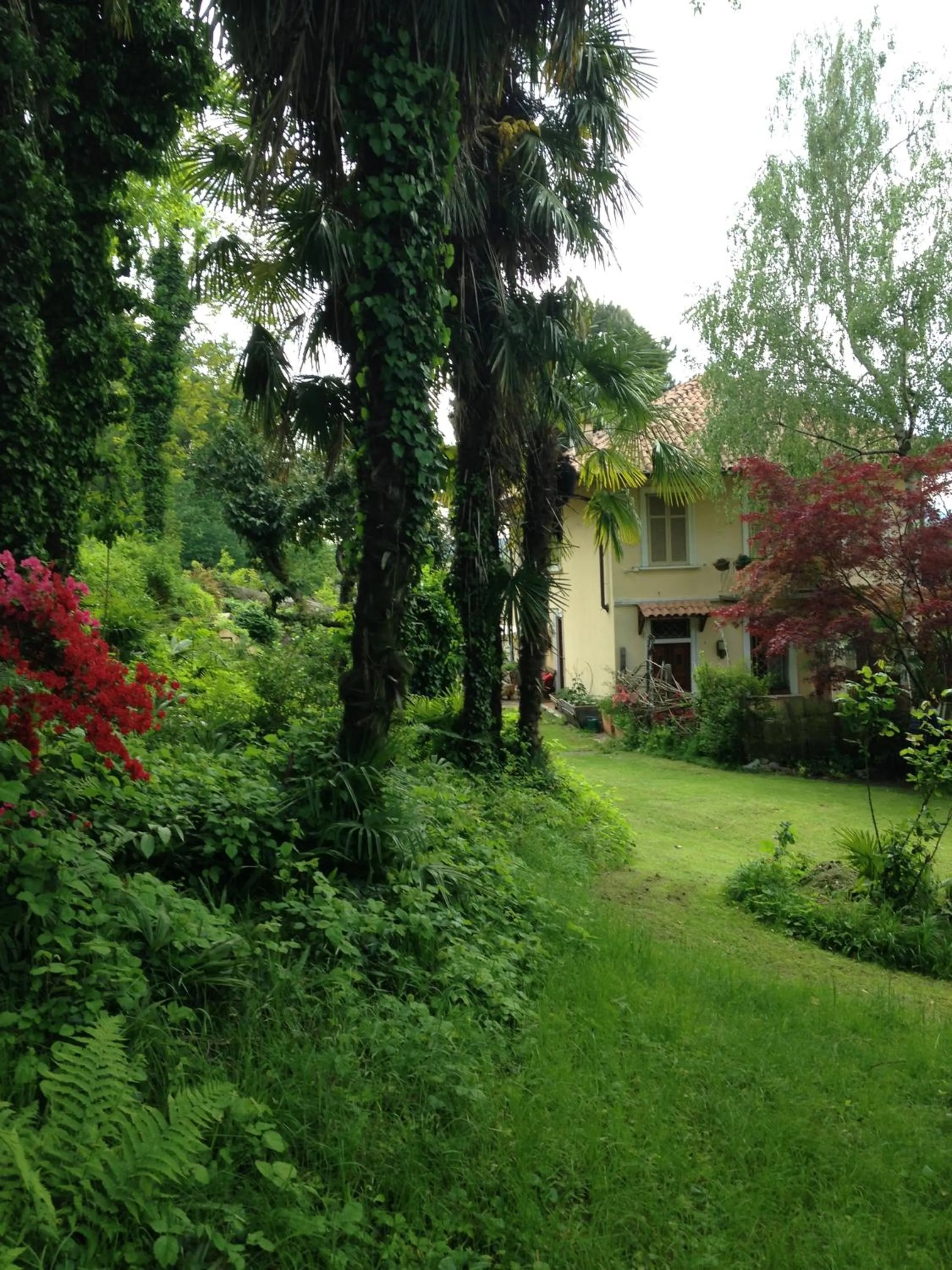 Garden view in apartment BB Lago Nel Pagliaio
