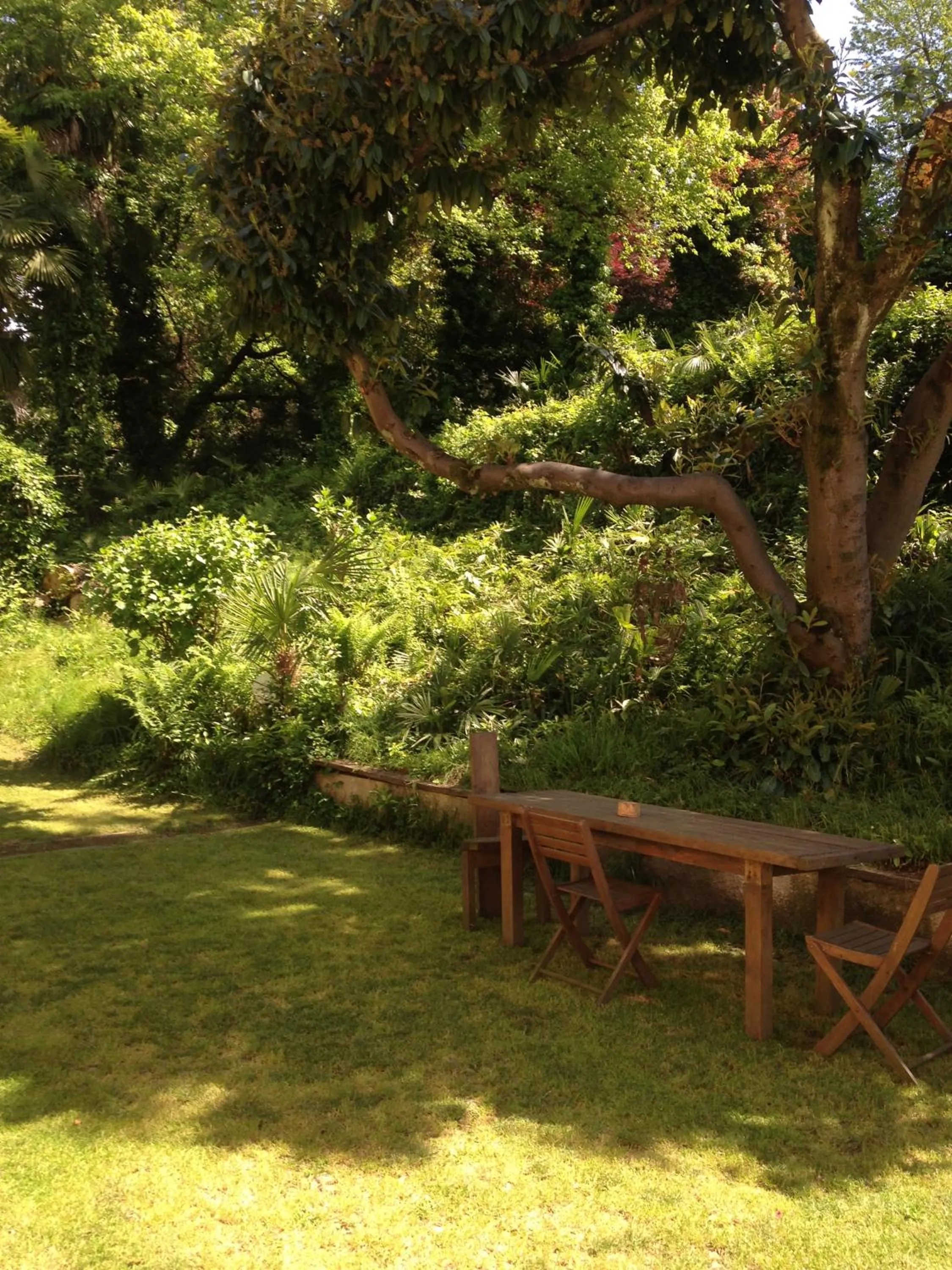 Garden view in apartment BB Lago Nel Pagliaio