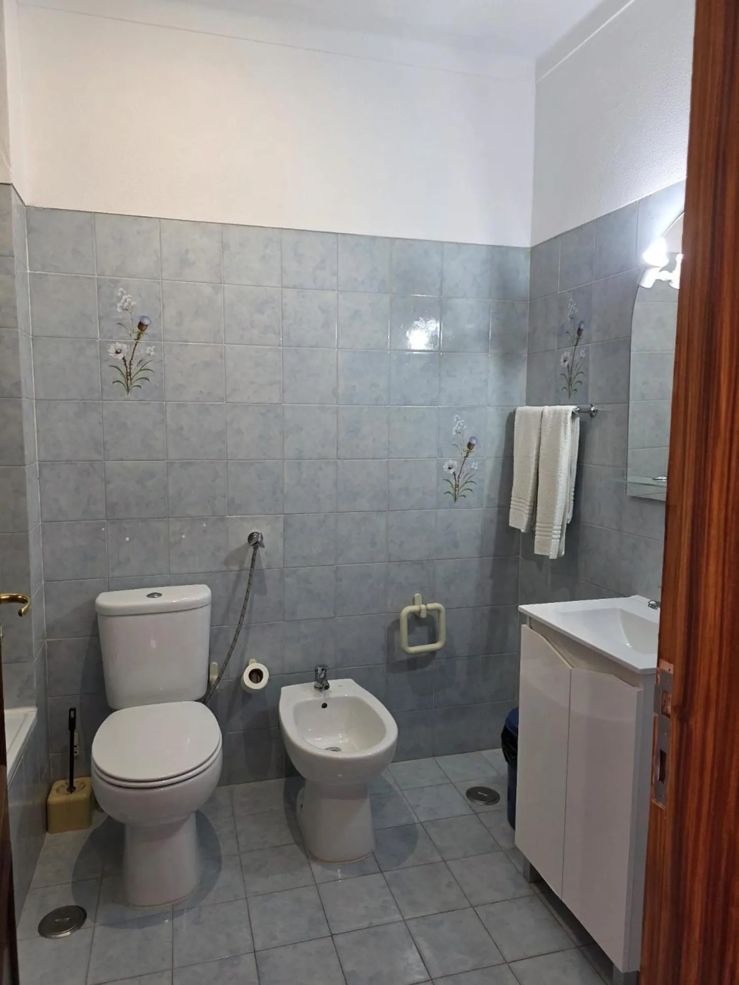 Toilet in Apartamentos Mar-Sol Villas