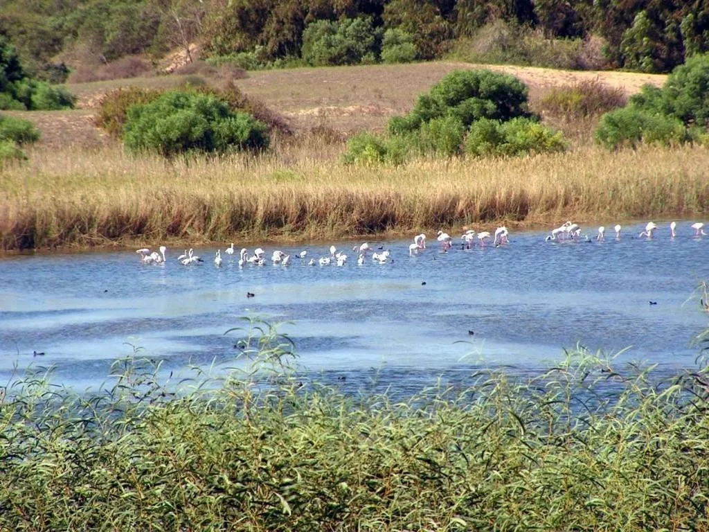 View (from property/room) in Résidence Fanti