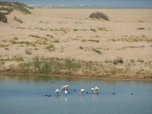 Area and facilities in Résidence Fanti