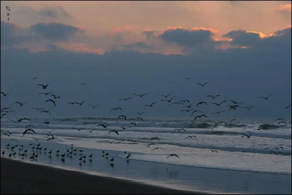 Beach in Résidence Fanti