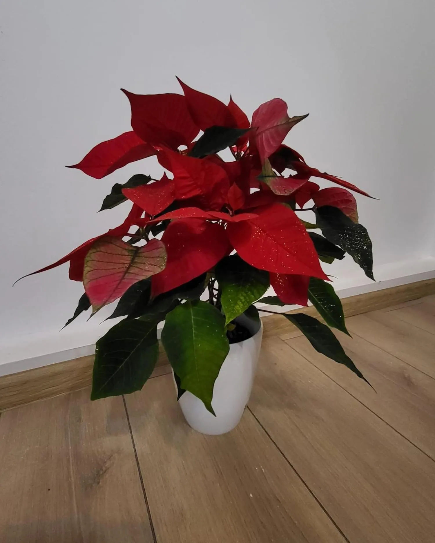 Decorative detail in Adac Boutique Hotel