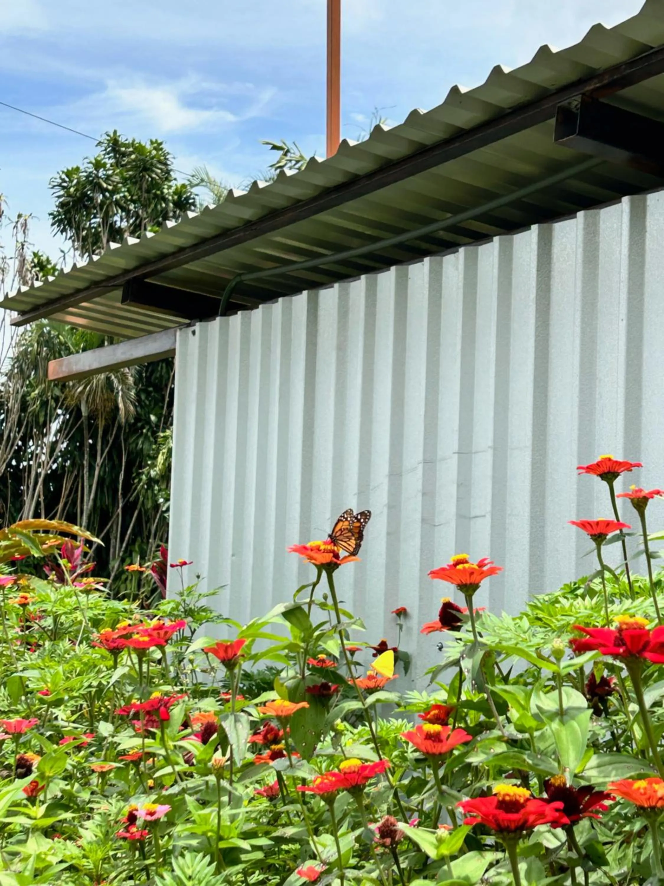 Natural landscape in B&B Garden Grecia