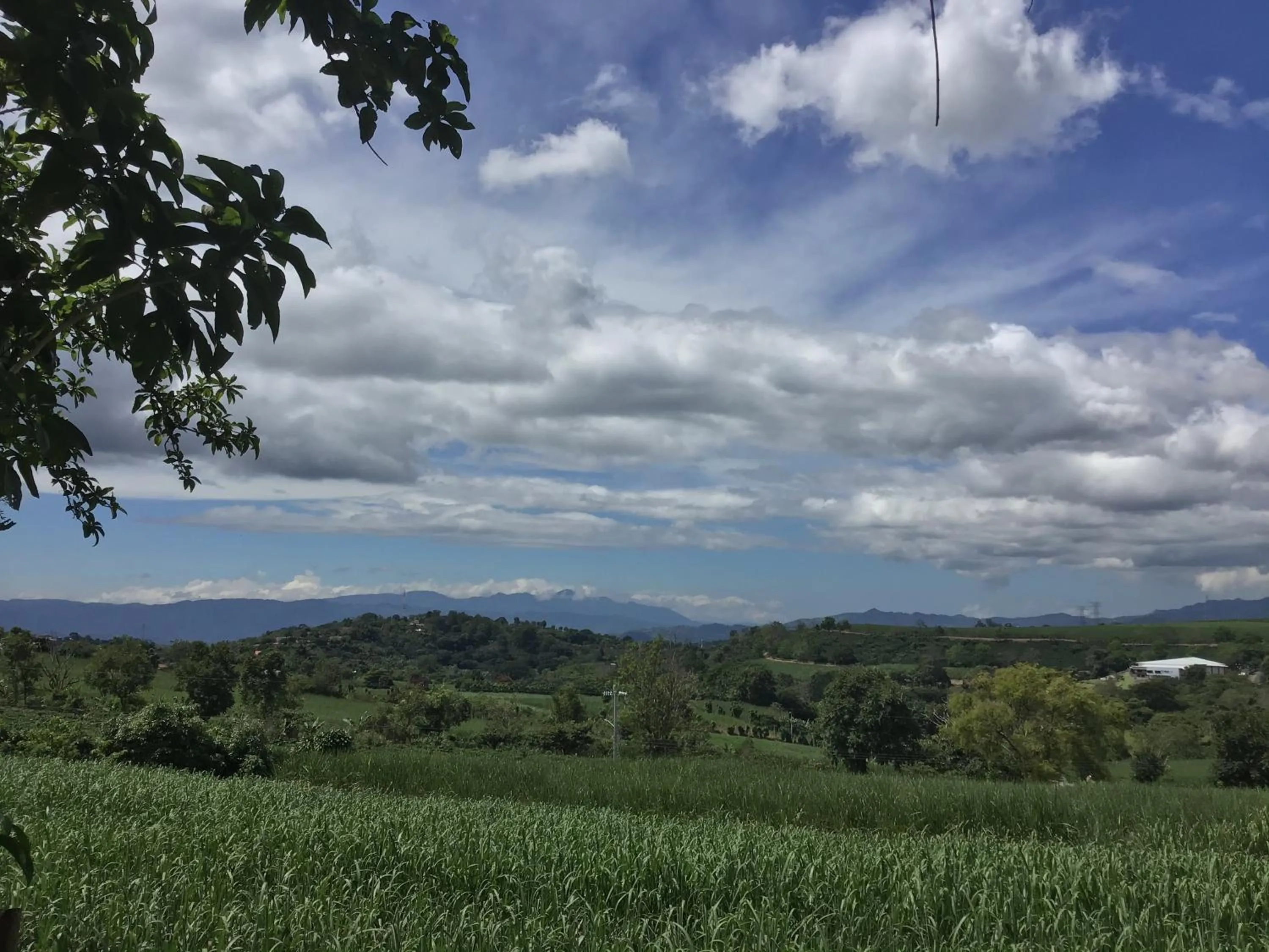 Natural landscape in B&B Garden Grecia