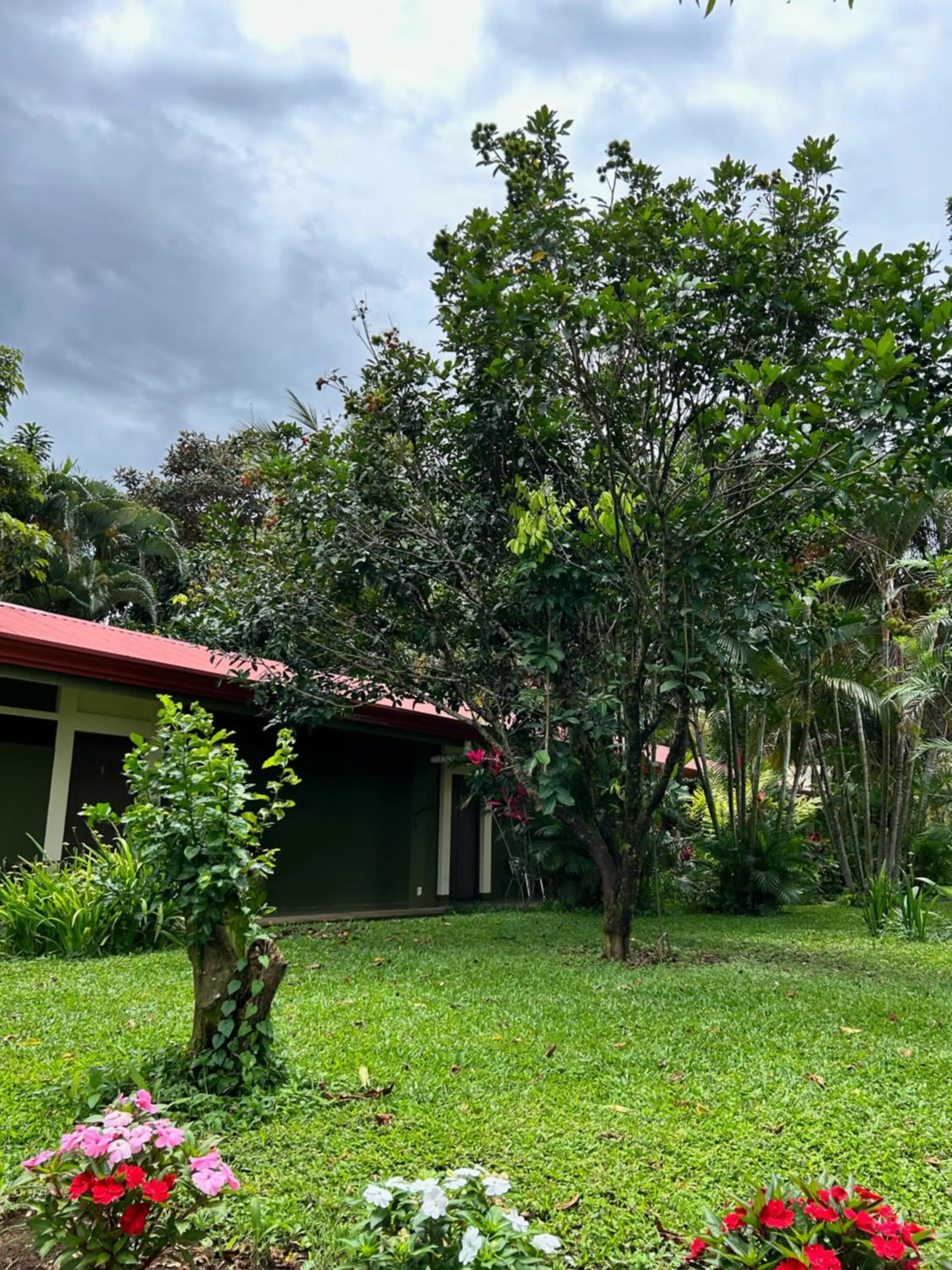 Garden view in B&B Garden Grecia
