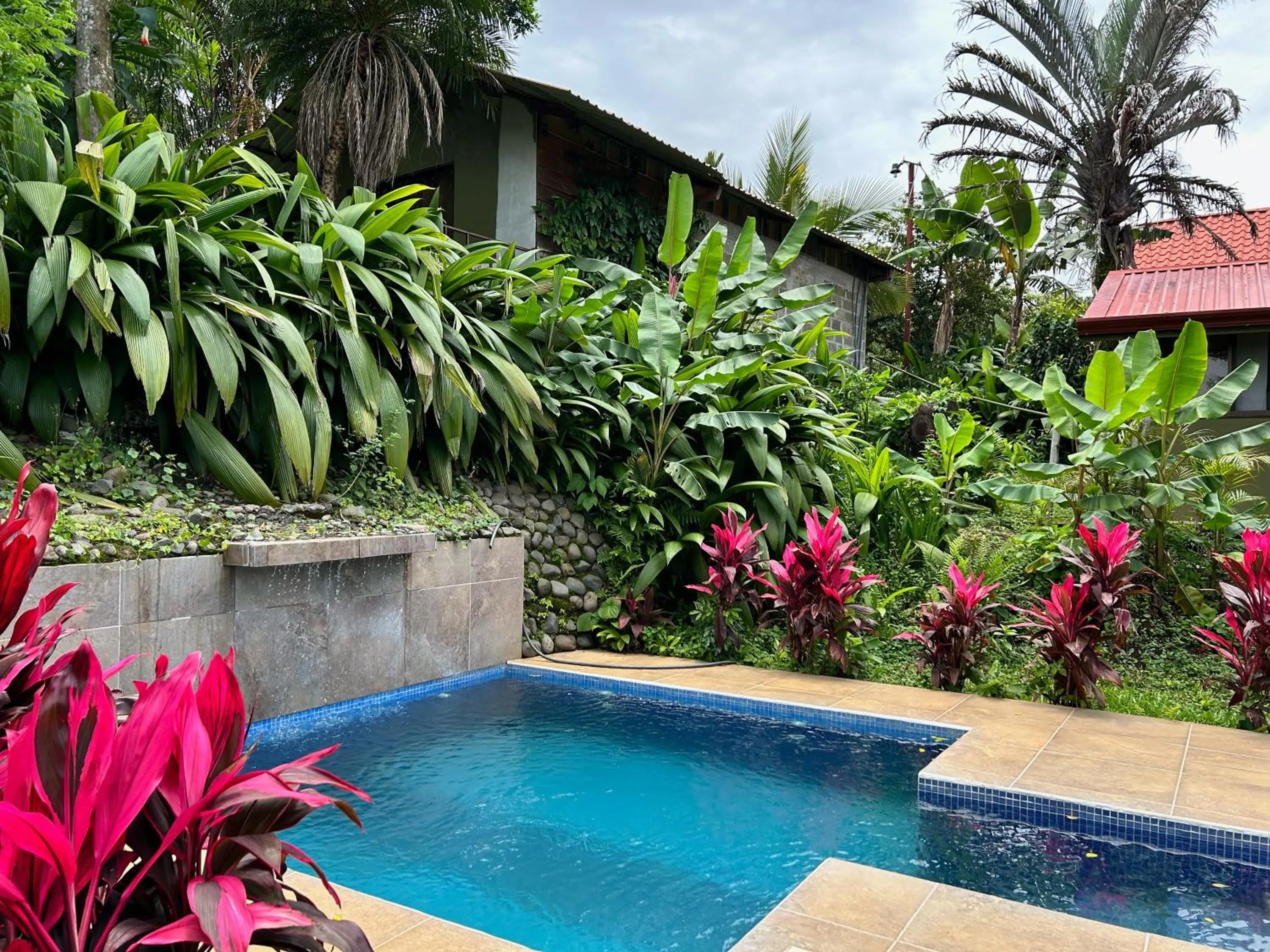 Pool view in B&B Garden Grecia