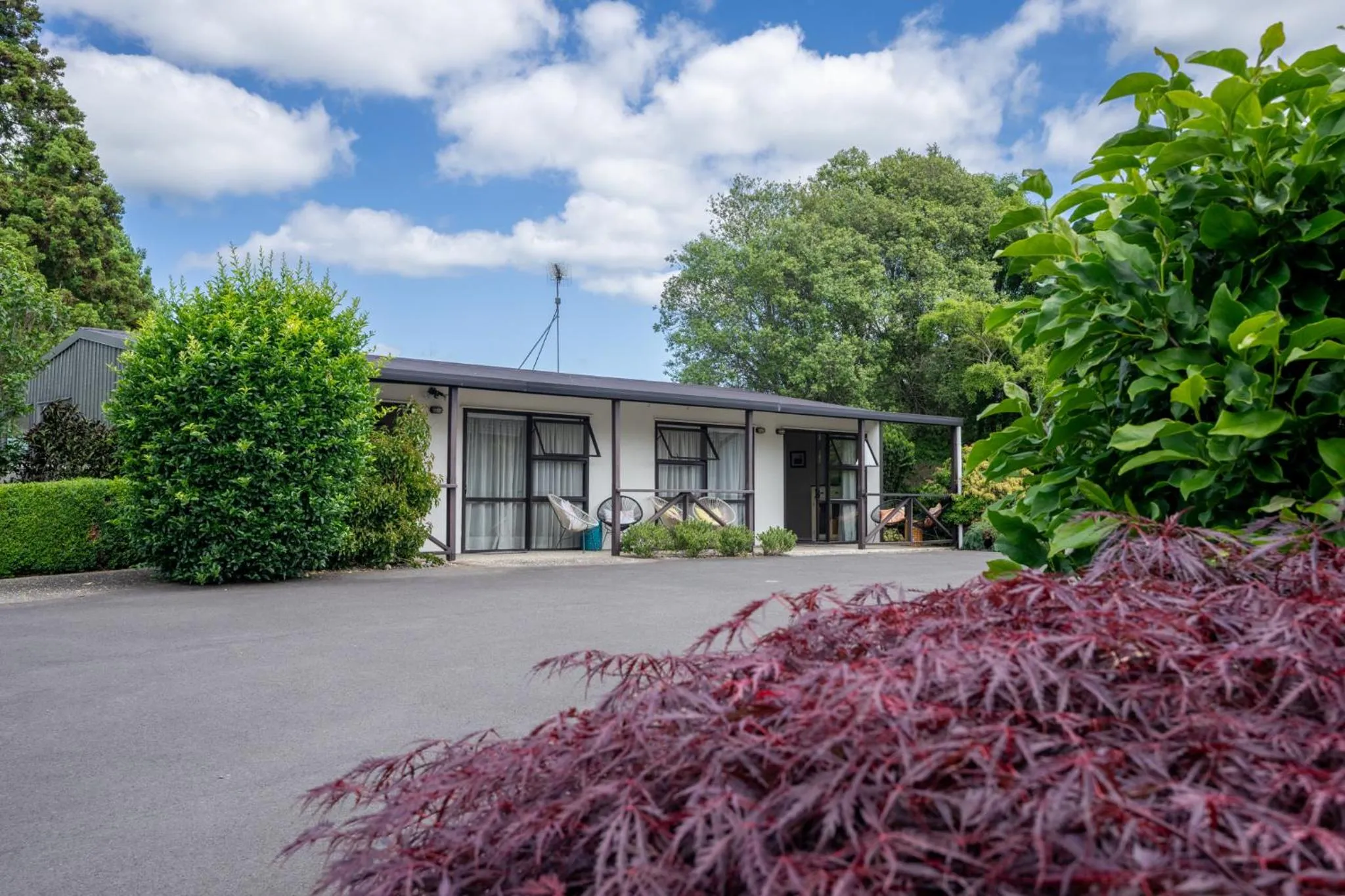 Garden view in 73 Milton Accommodation