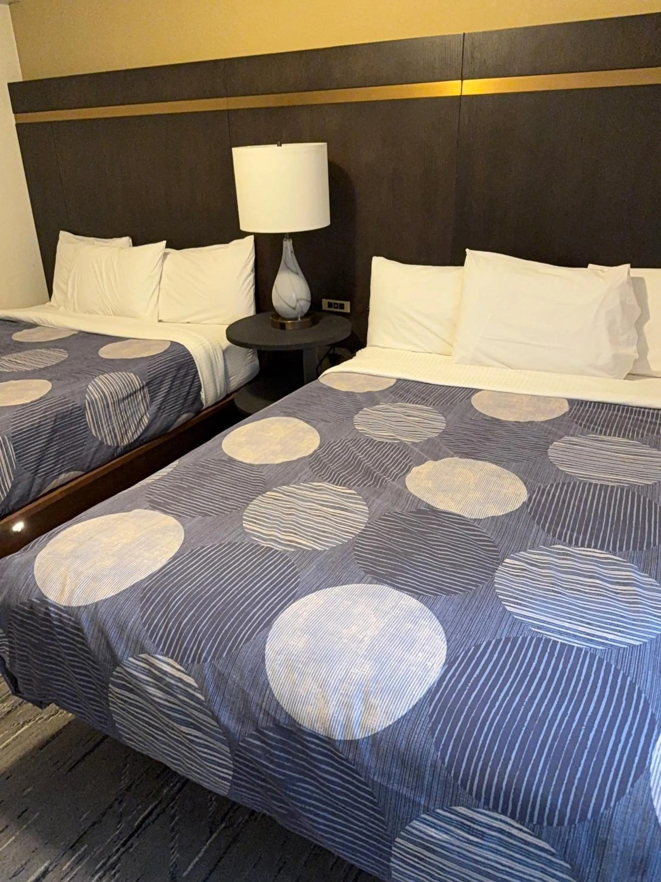 Bed in Snowshoe Motel