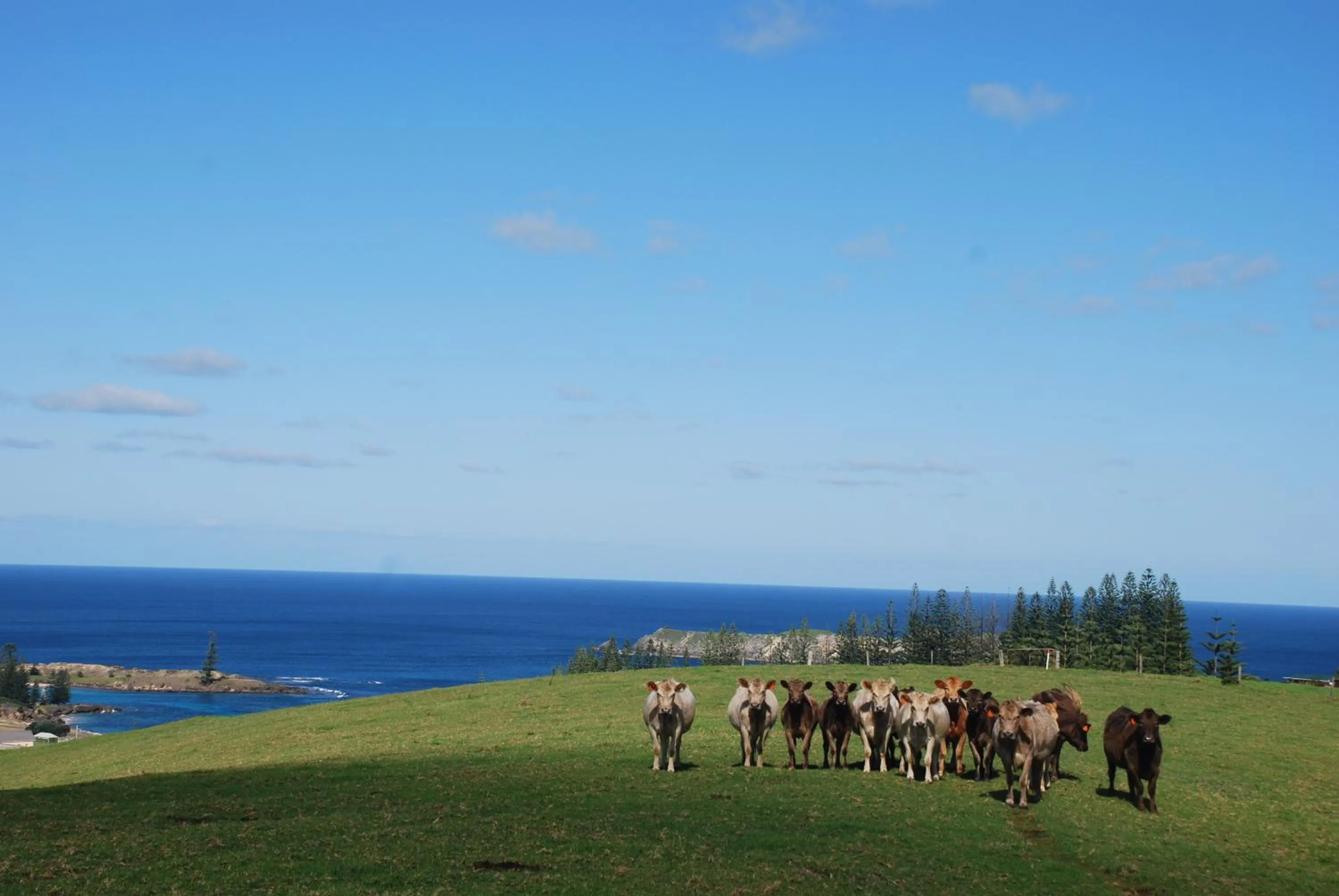 Day in Coast Norfolk Island