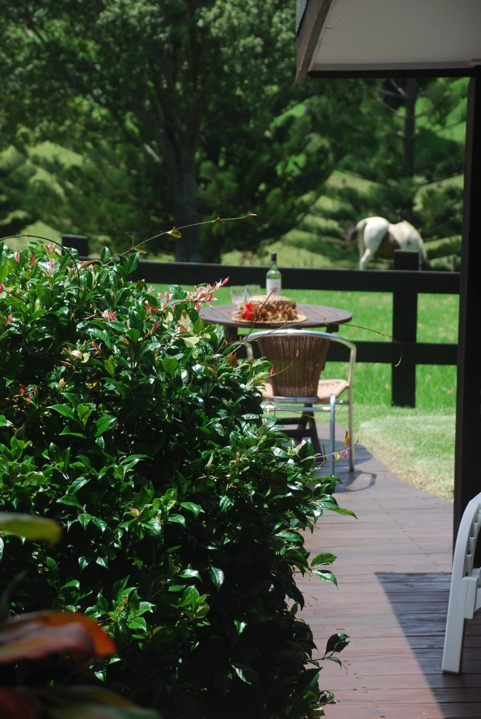 Patio in Coast Norfolk Island