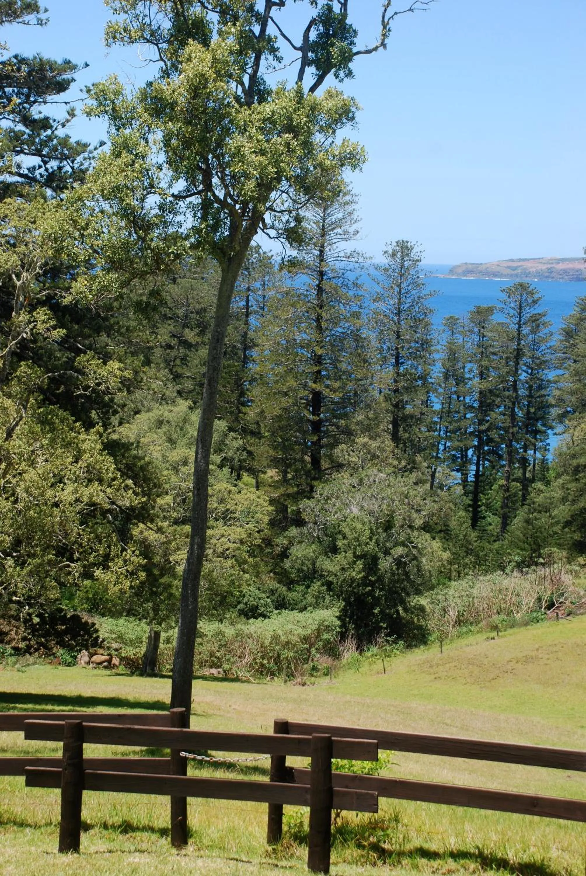 View (from property/room) in Coast Norfolk Island