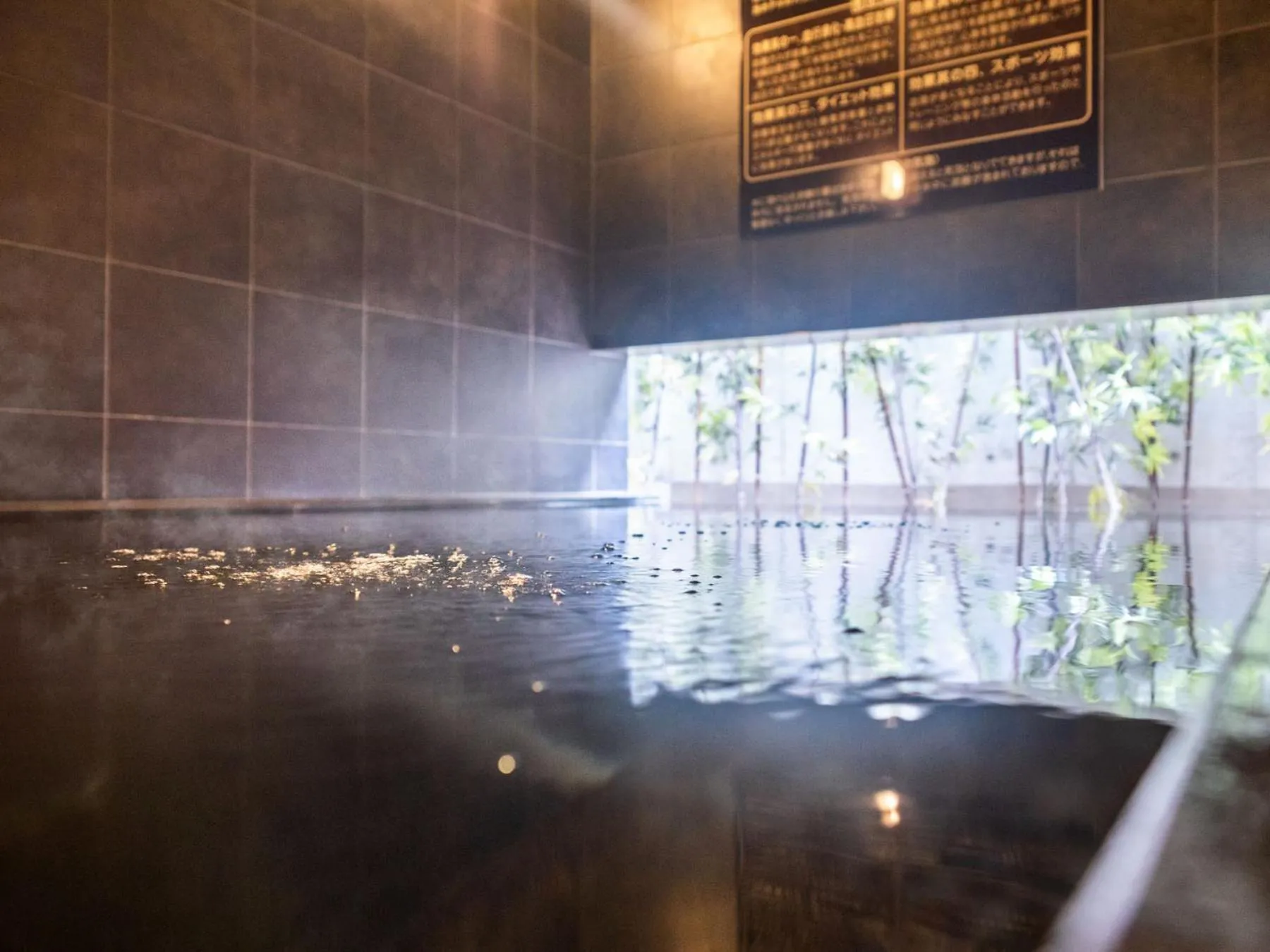 Public Bath in Super Hotel Shinagawa Shinbanba