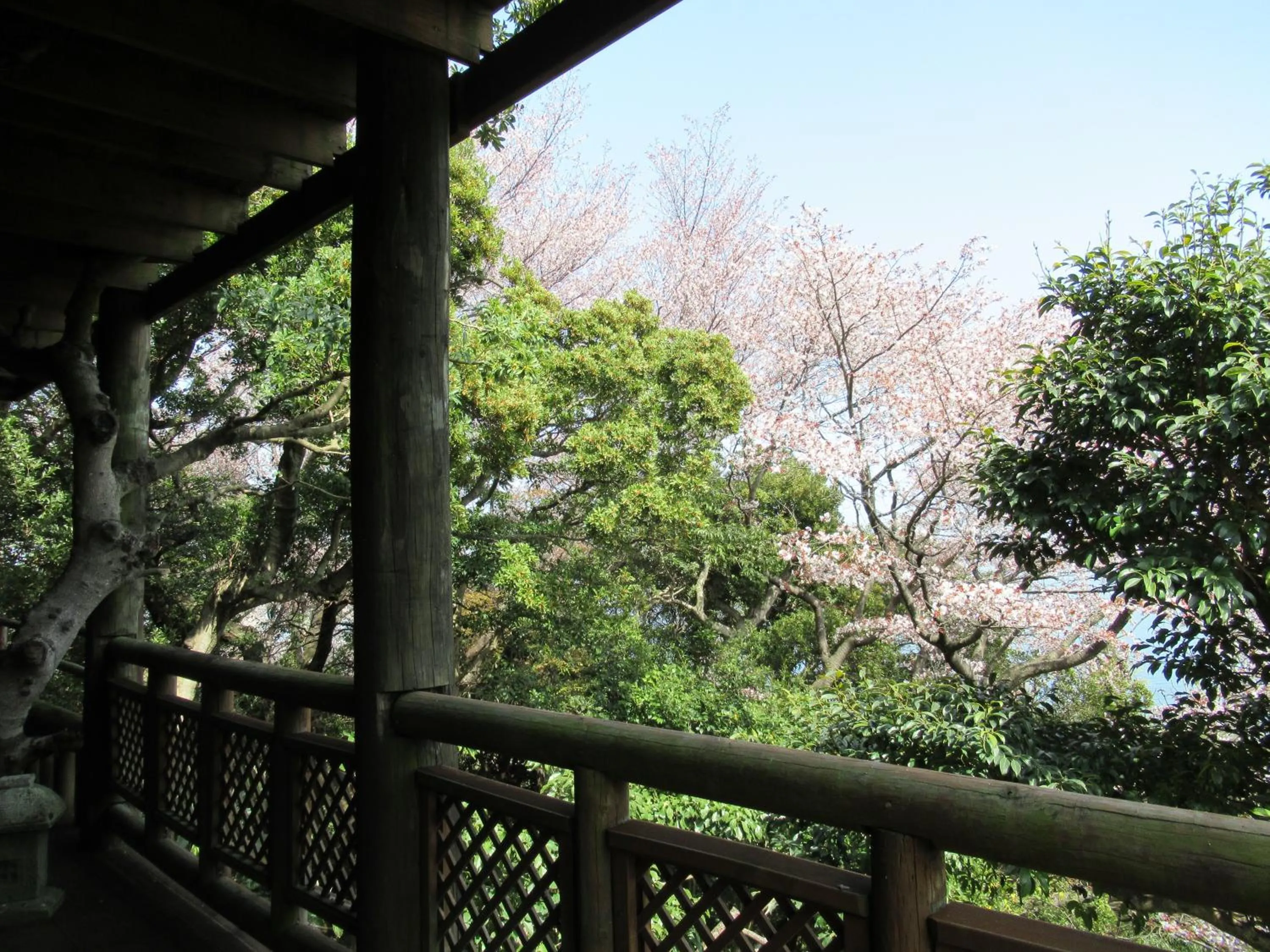 Natural landscape in Chidorian