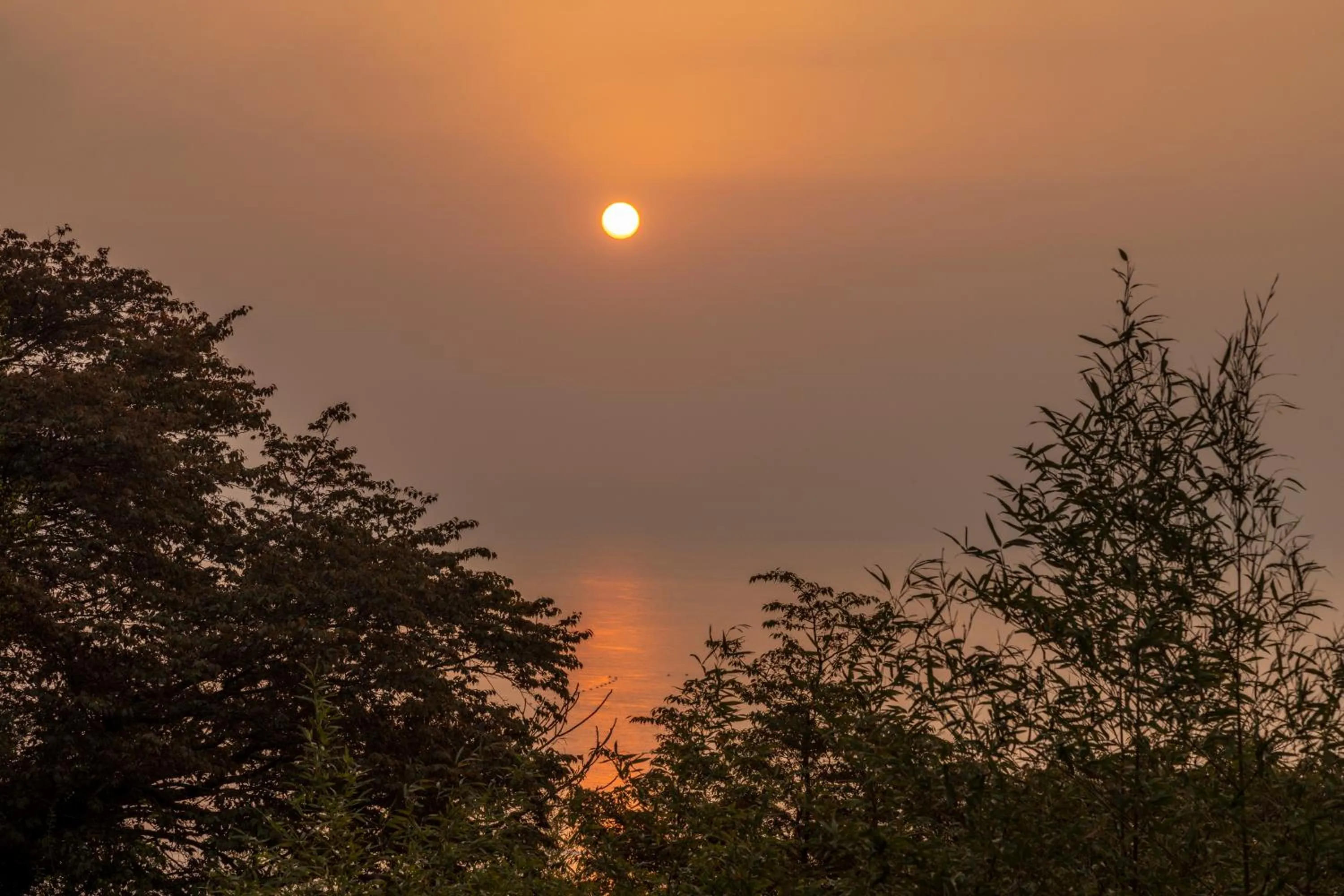 Natural landscape in Chidorian