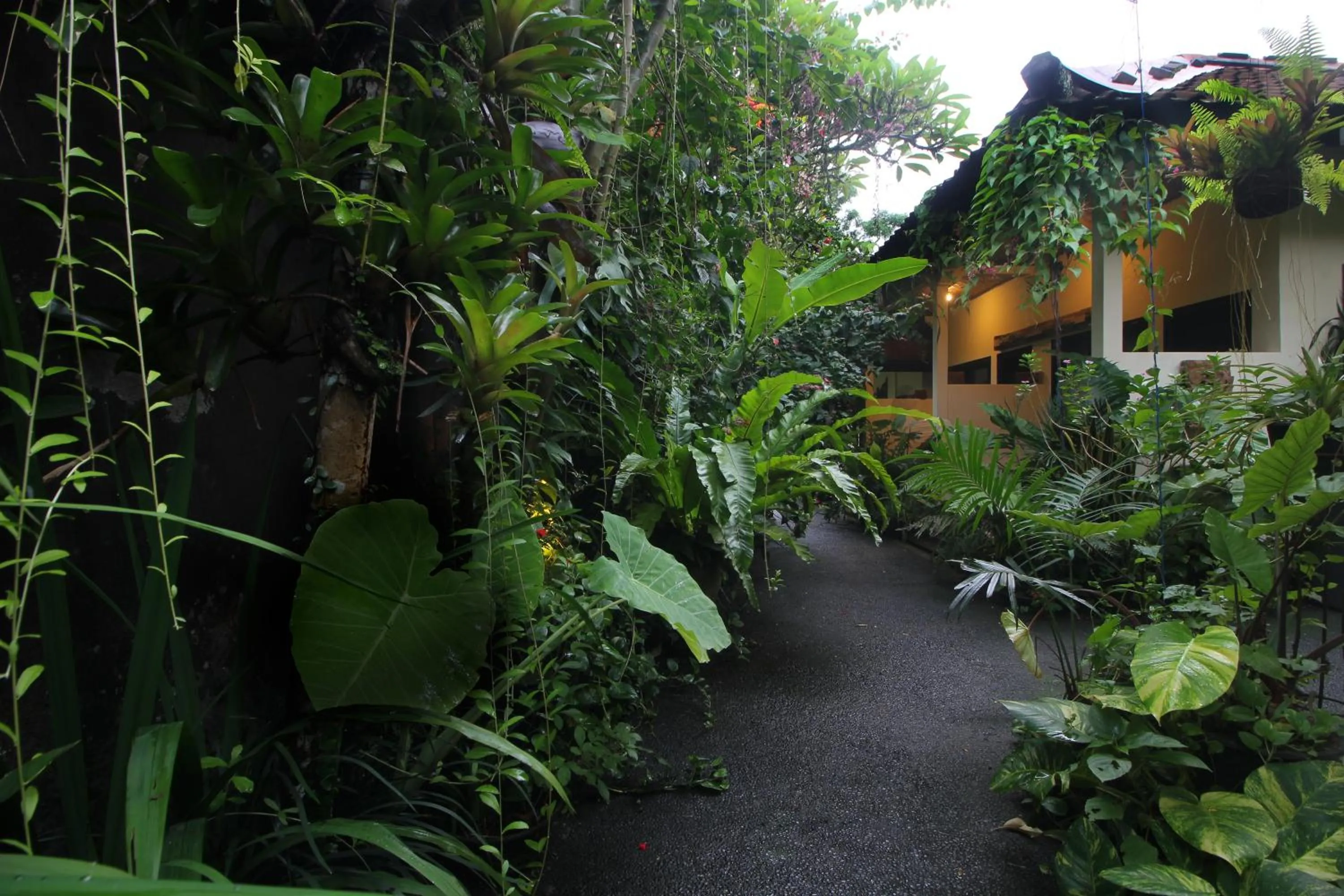Garden in Sari Gong Guest House, A Trishula Collection
