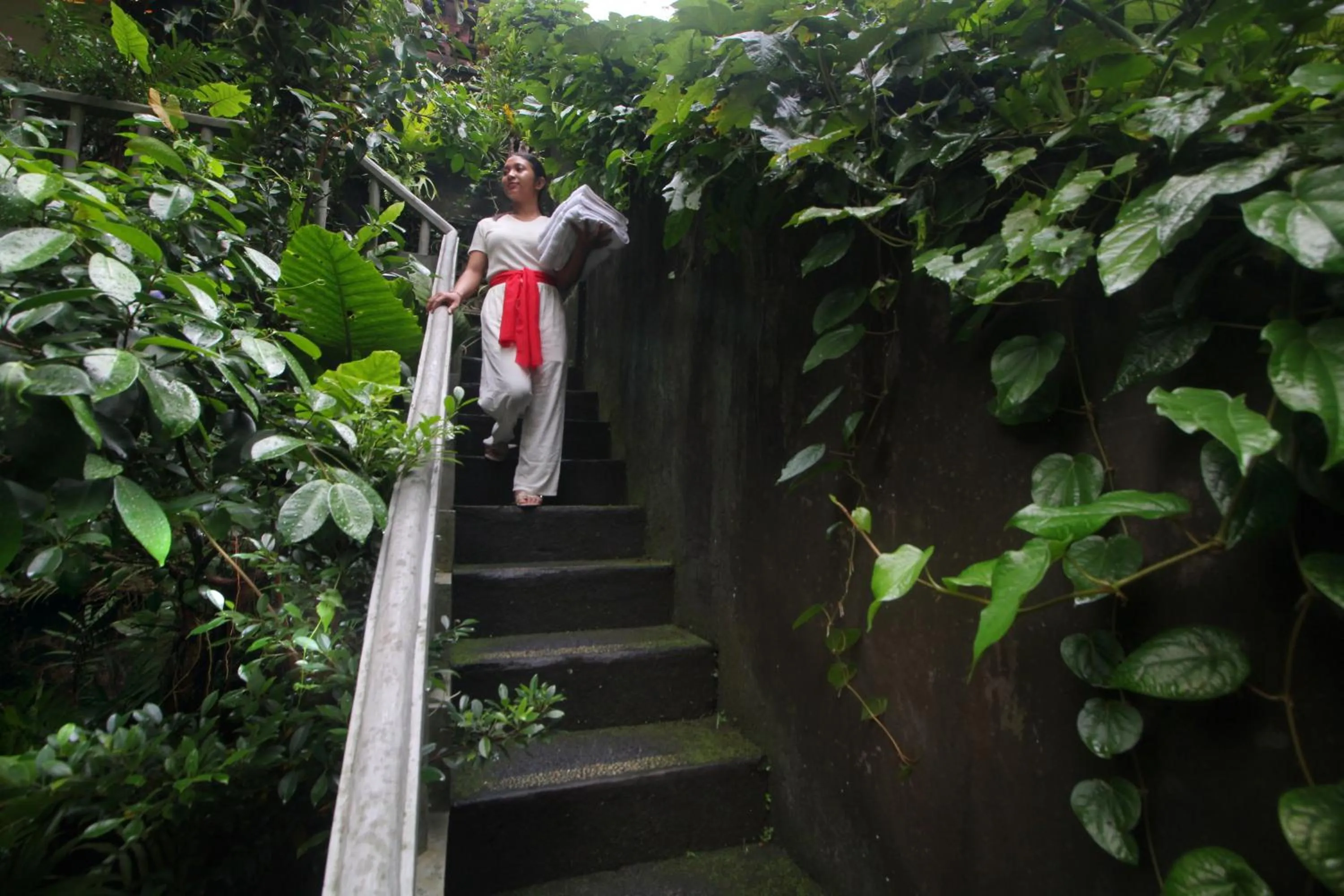 Garden in Sari Gong Guest House, A Trishula Collection
