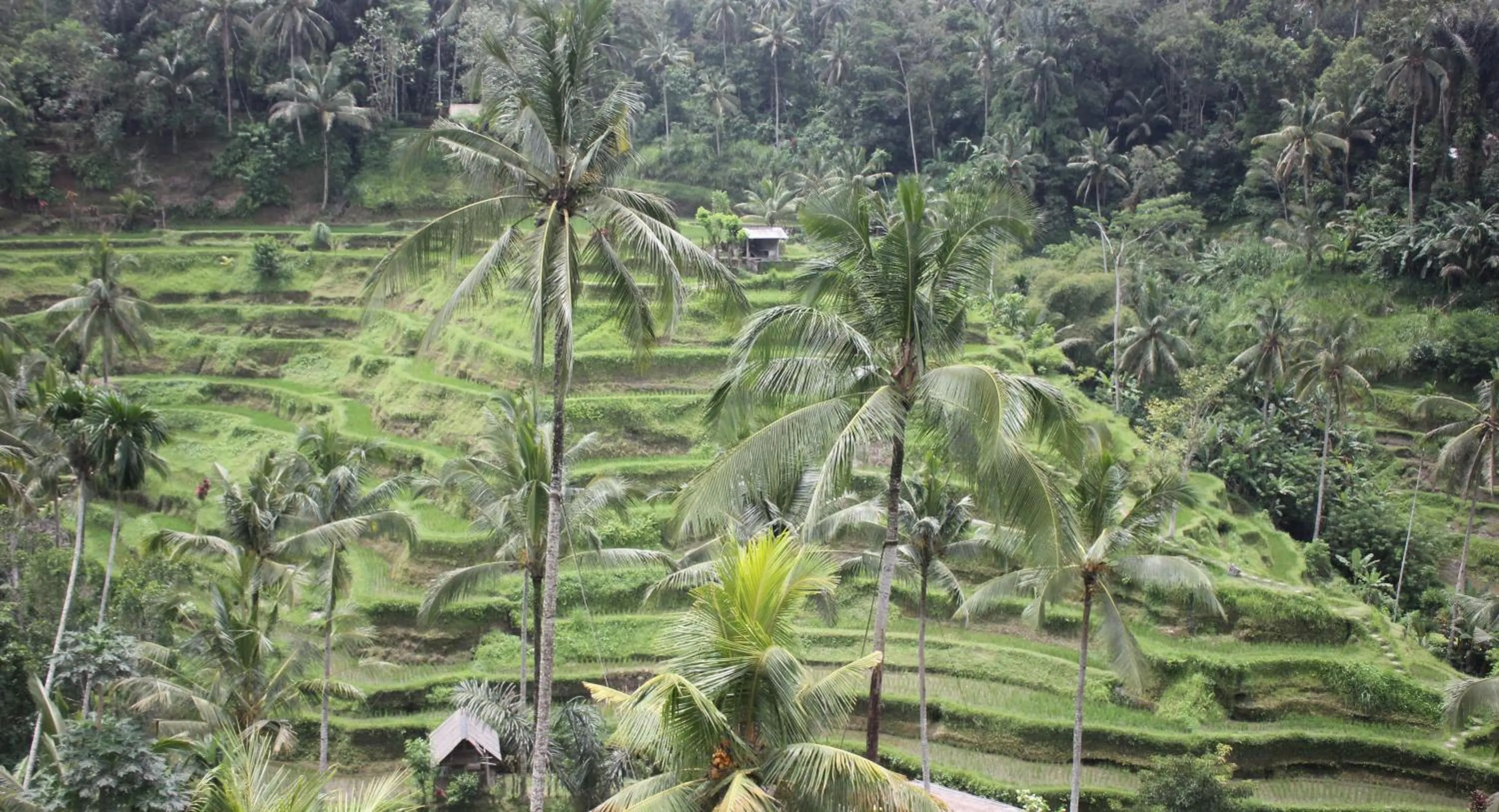Nearby landmark in Sari Gong Guest House, A Trishula Collection