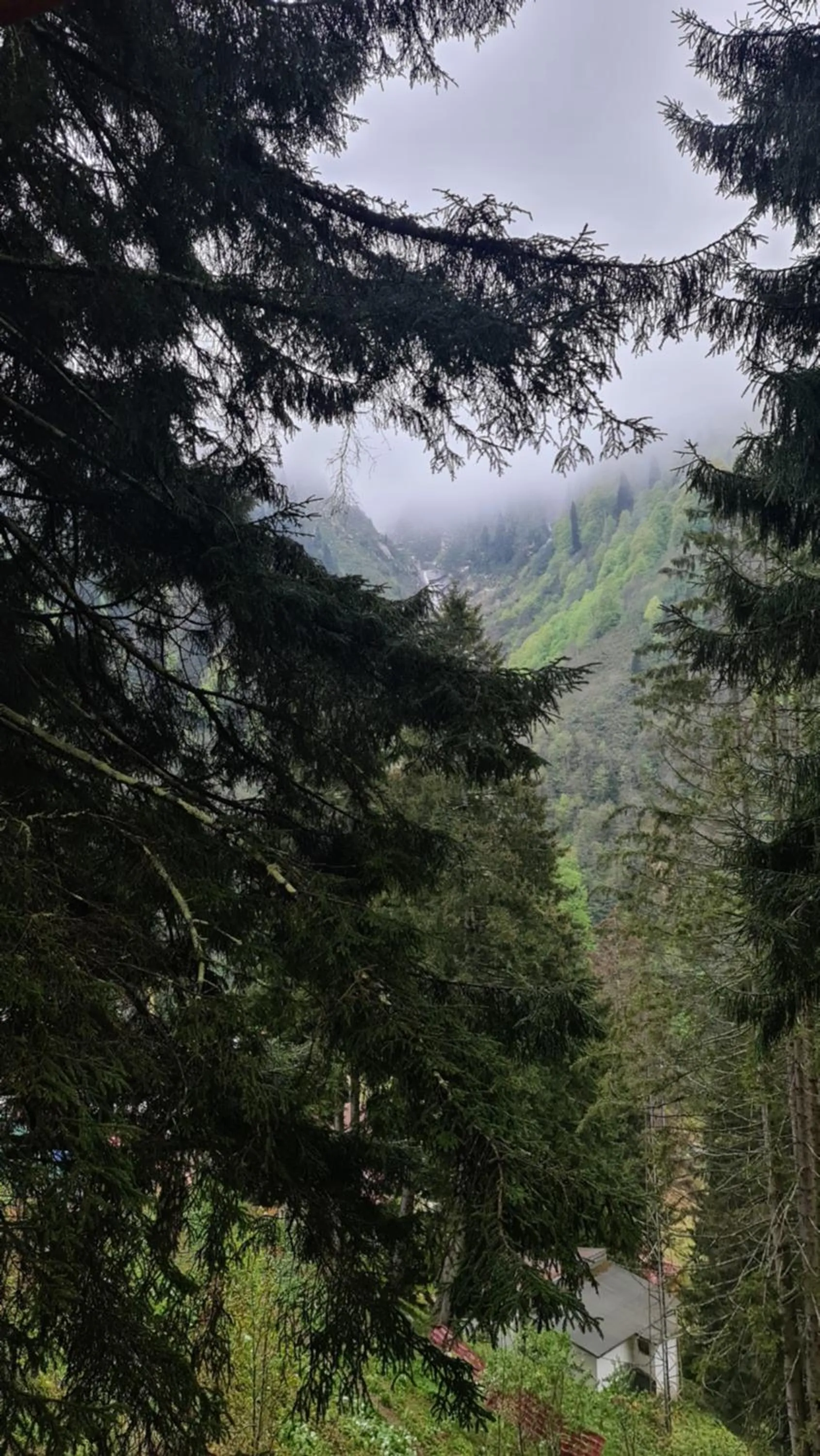 Bathroom in Ayder Doga Resort