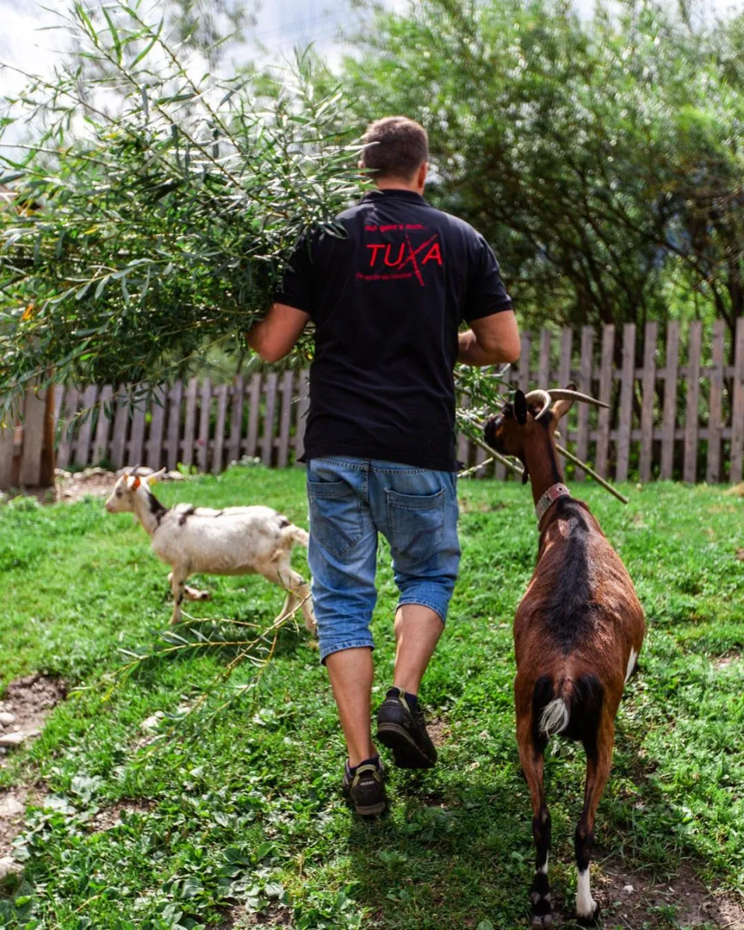 Animals in Aktivhotel Tuxerhof