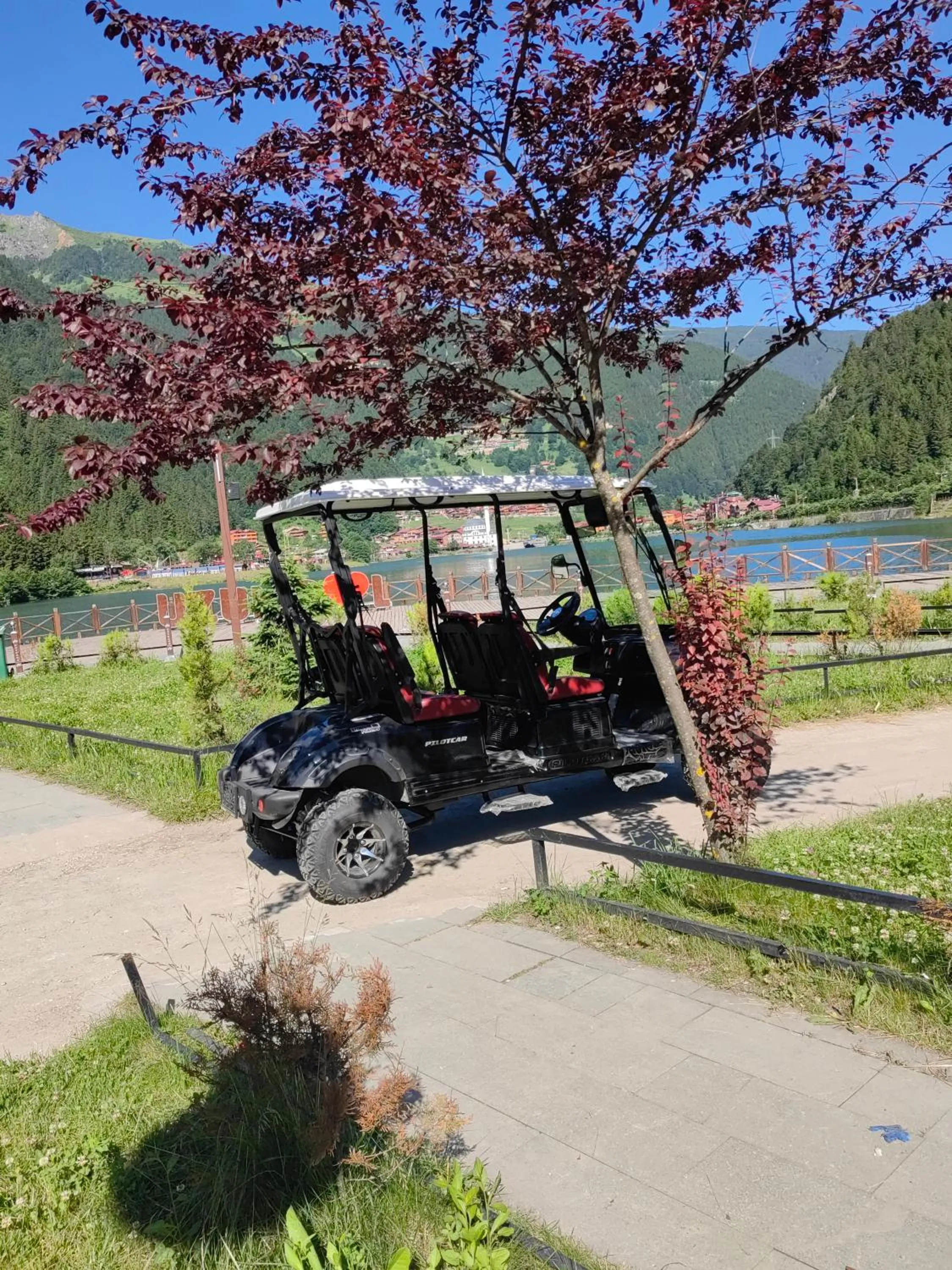 Spring in Dunya Residence