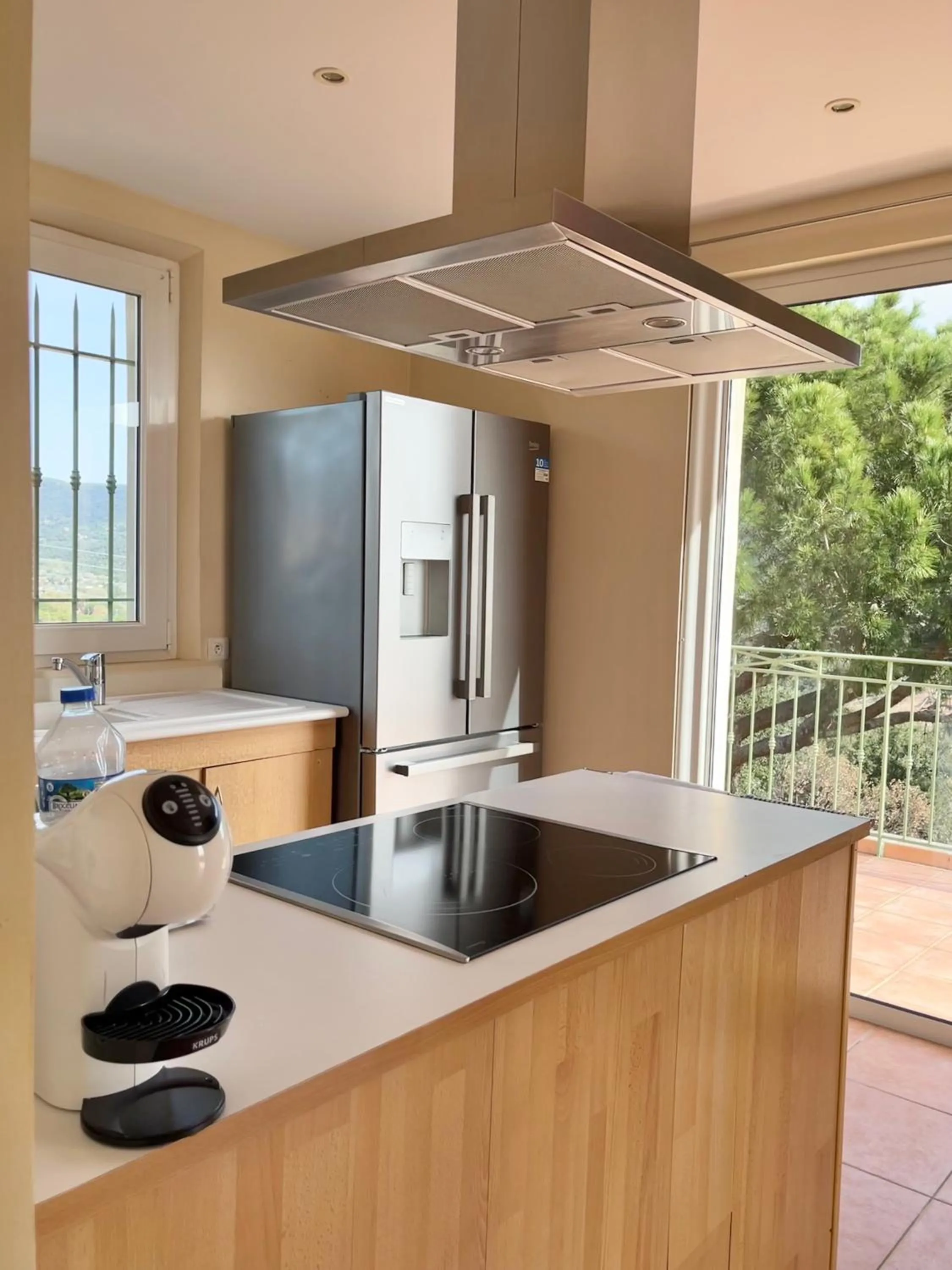 Kitchen or kitchenette in Villa Romuald