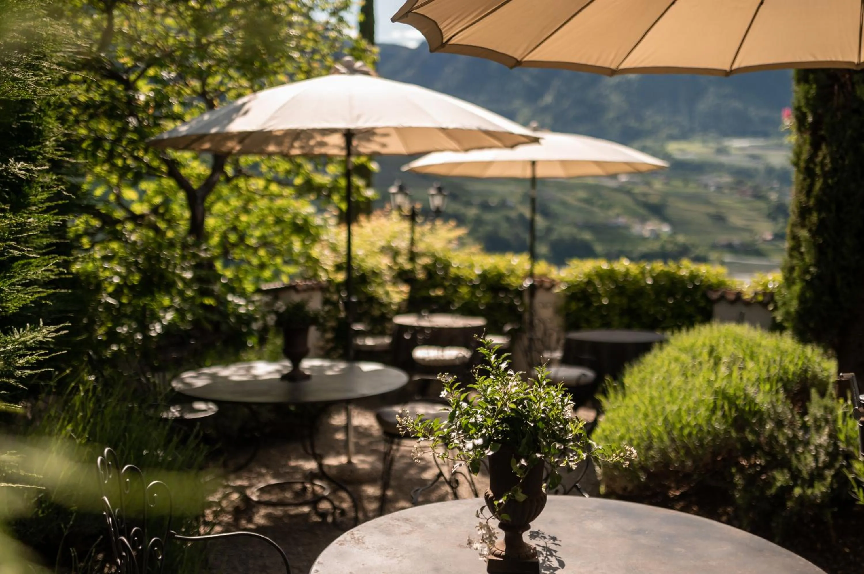Restaurant/places to eat in Hotel Chalet Gravenstein