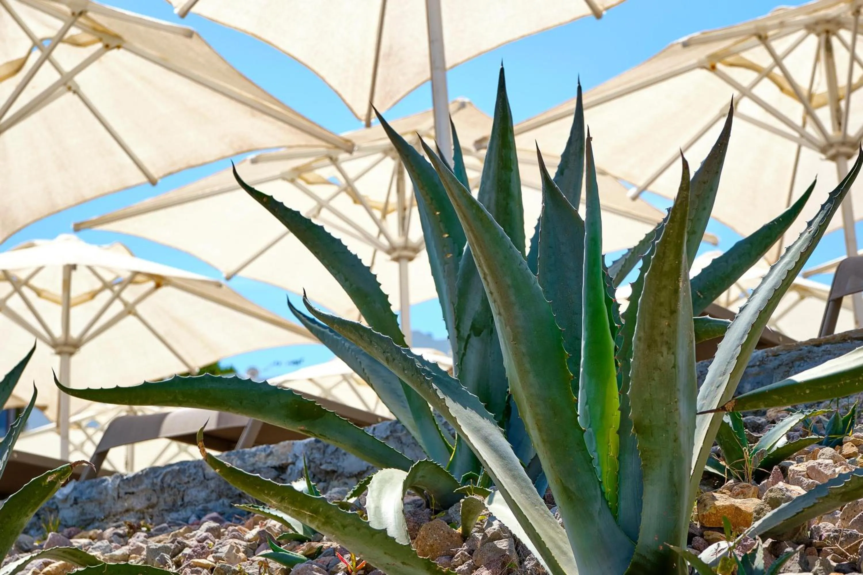 Natural landscape in YAZ Yalıkavak