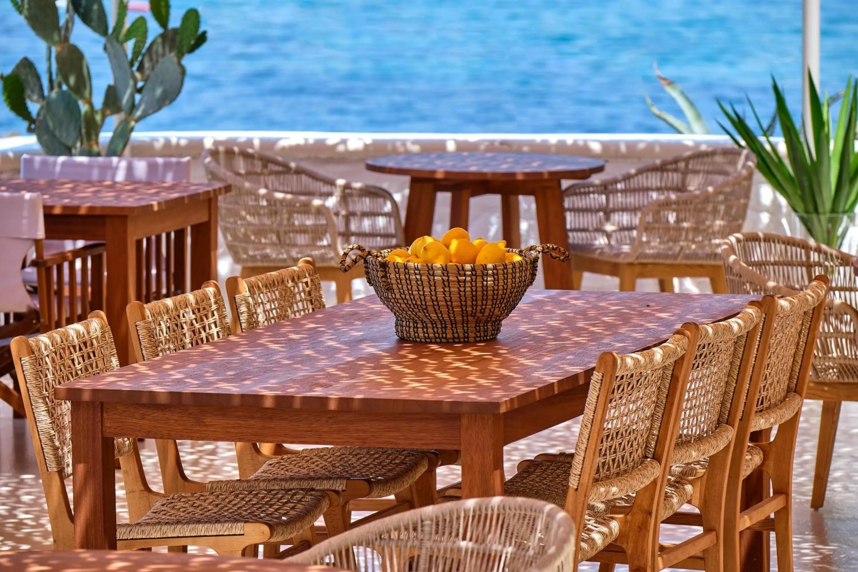 Restaurant/places to eat in YAZ Yalıkavak